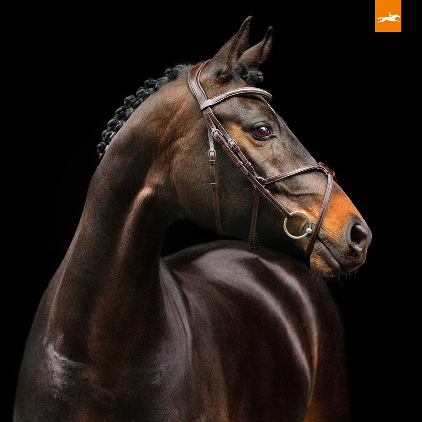 Schockemöhle Sports Rio Select Bridle Bridles & Reins