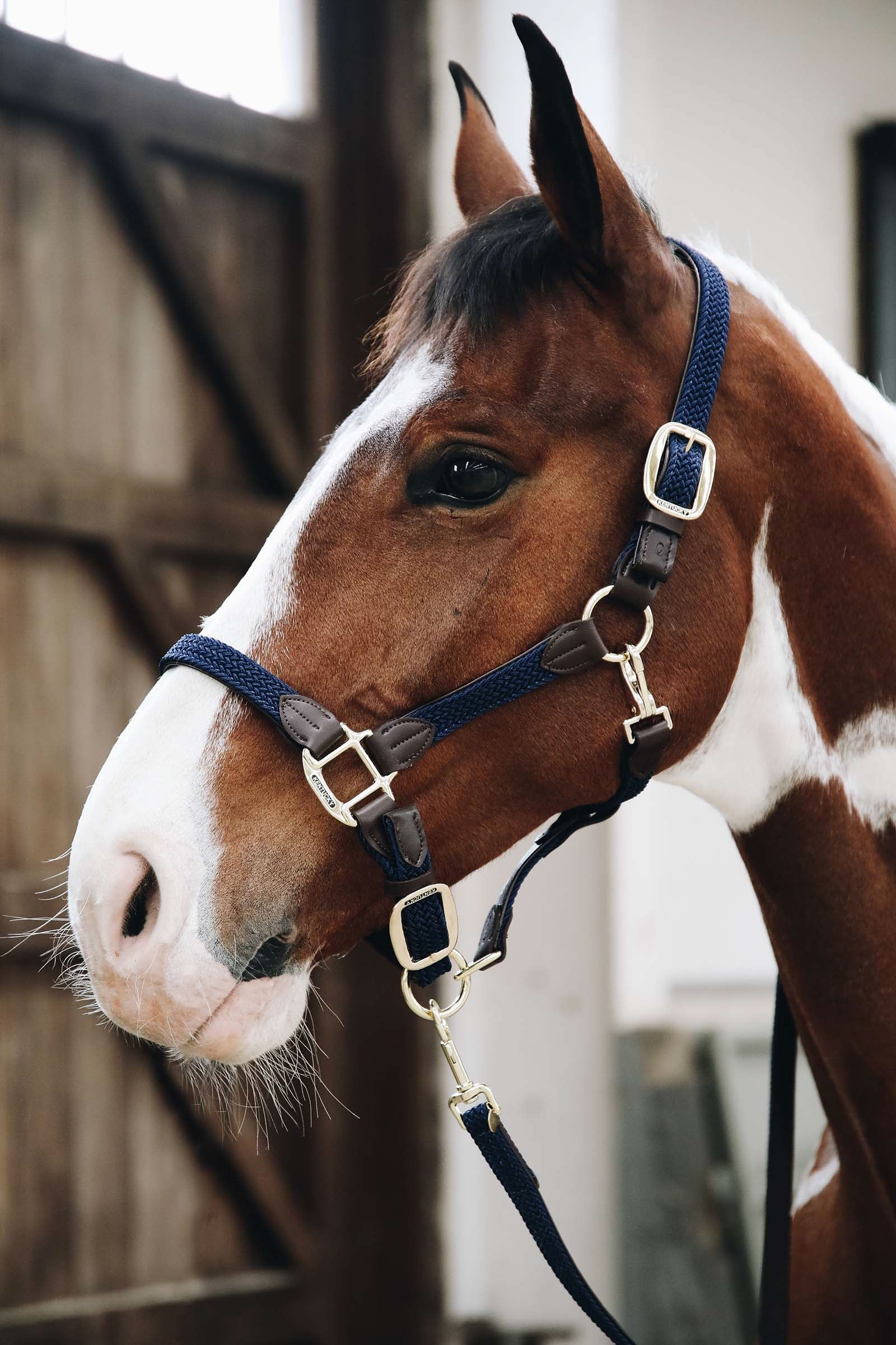 Kentucky Horsewear Kentucky flettet nylongrime Grimer og leietau