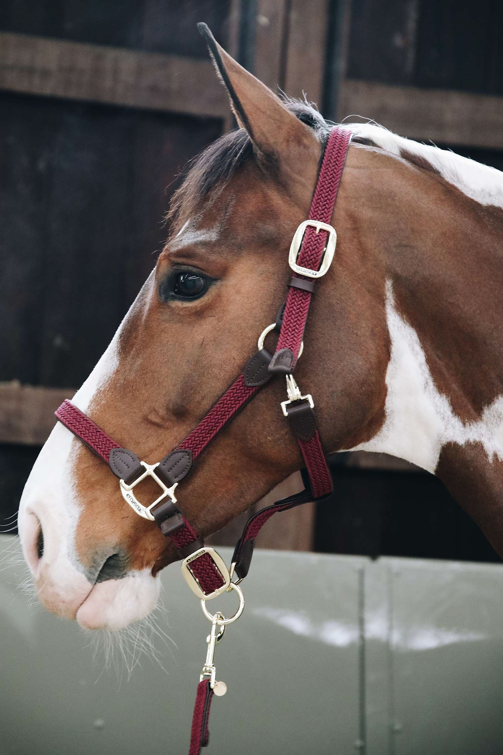 Kentucky Horsewear Kentucky flettet nylongrime Grimer og leietau