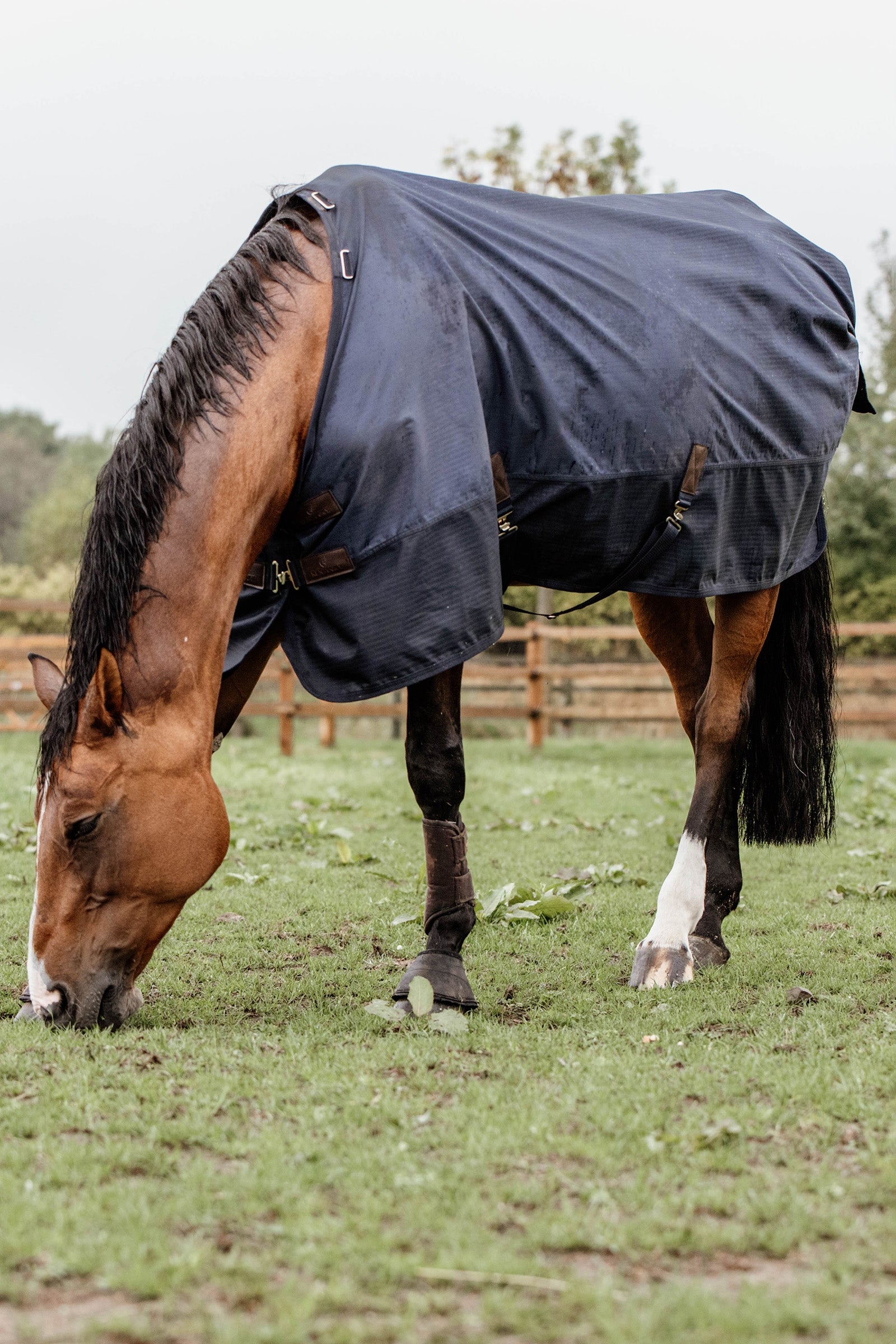 Kentucky Horsewear Turnout Rug All Weather, 300g Horse Rugs