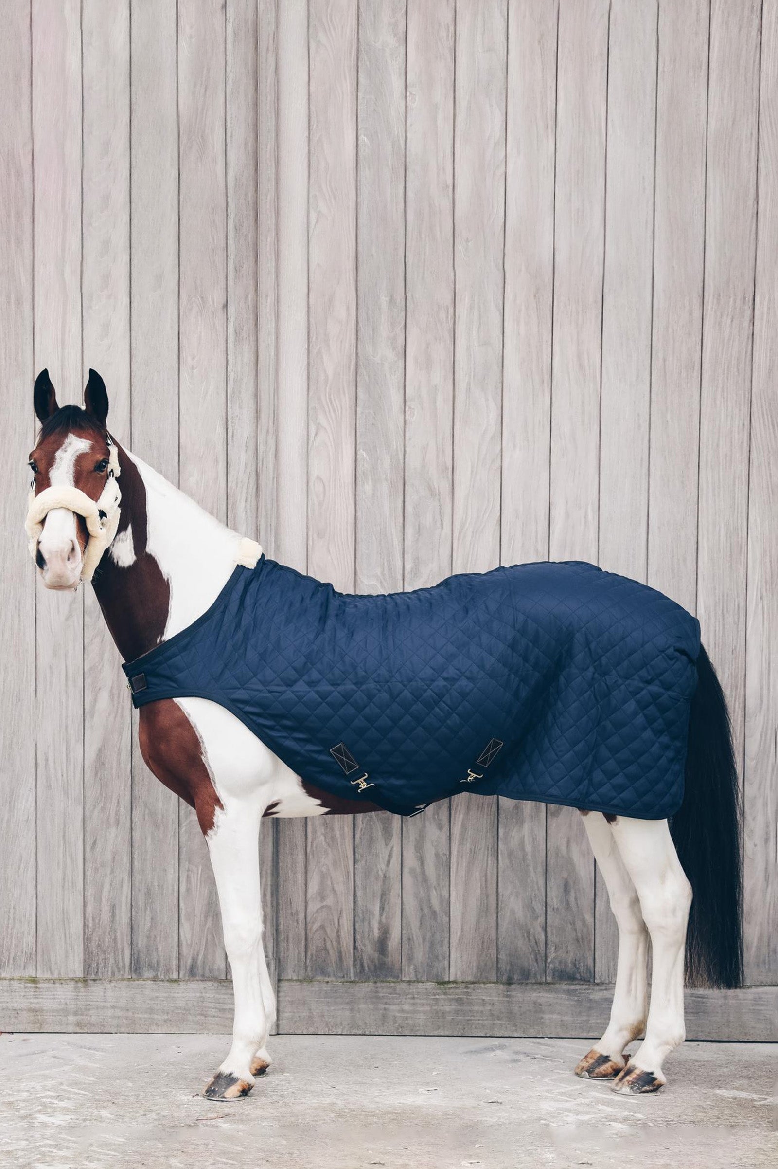 Kentucky Horsewear Walker Rug, 160g Horse Rugs