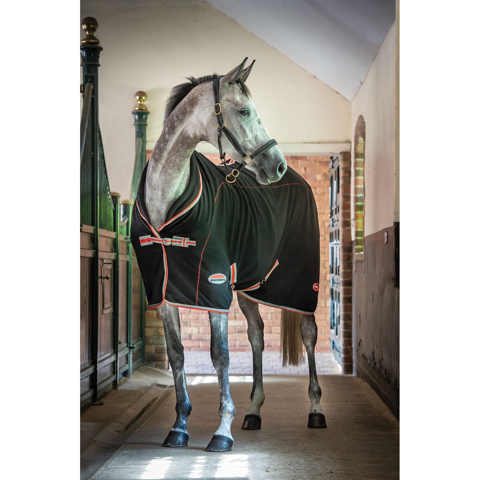 Weatherbeeta Therapy-Tec, standard hals Dekken