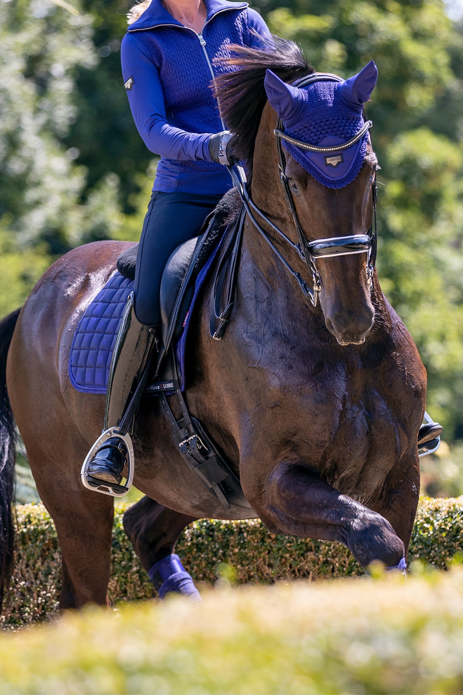 LeMieux Loire Fly Hood Saddle Pads