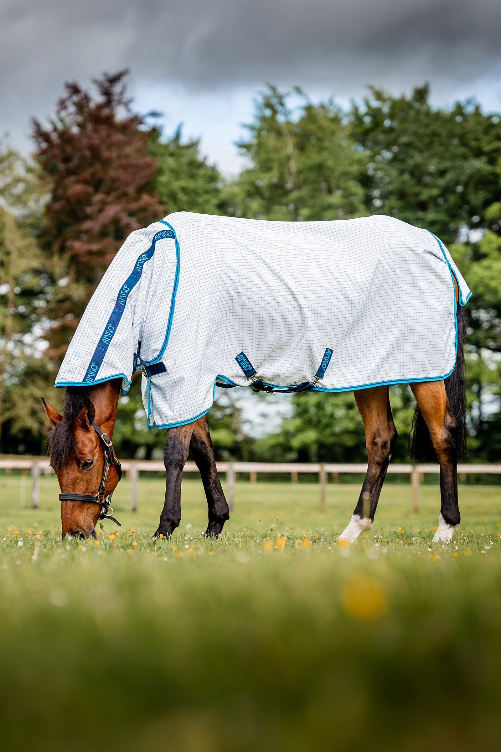 Horseware Amigo Fluedekken Plus Dekken
