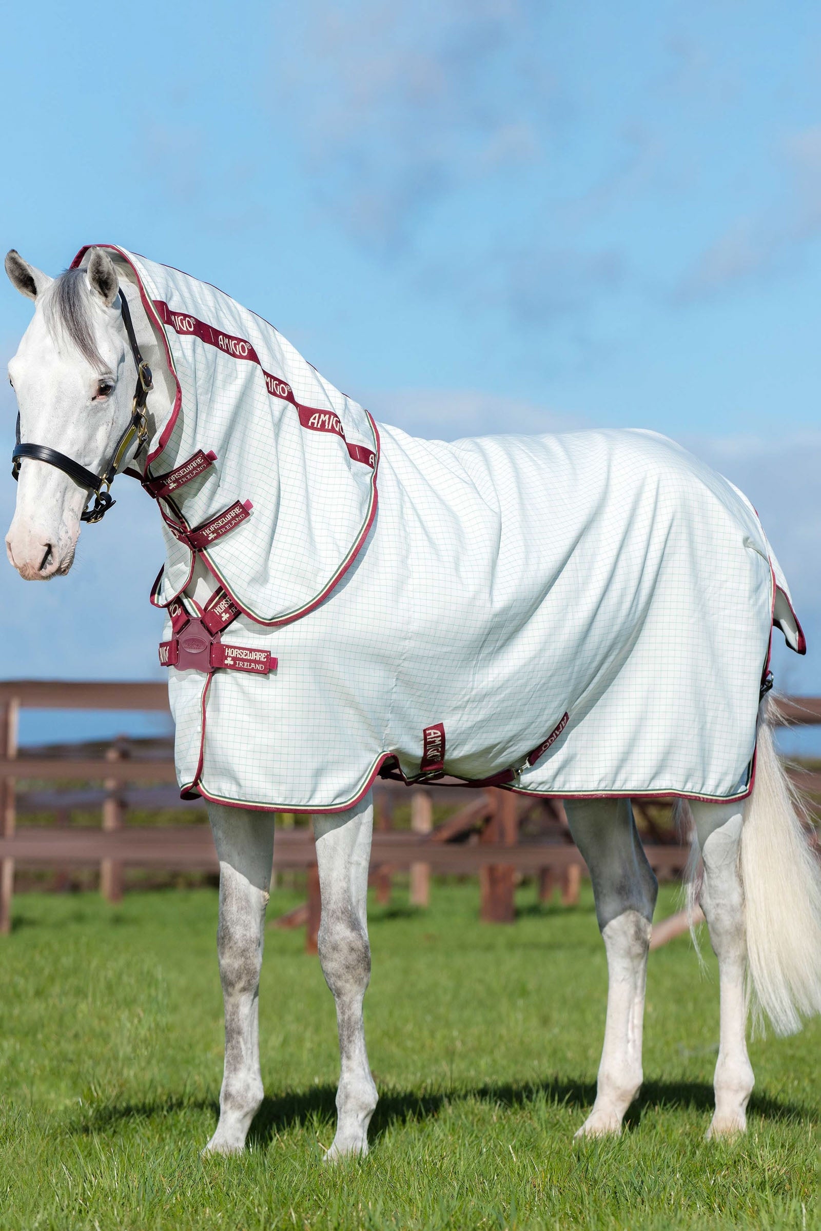 Horseware Amigo Summer Sheet Plus Horse Rugs