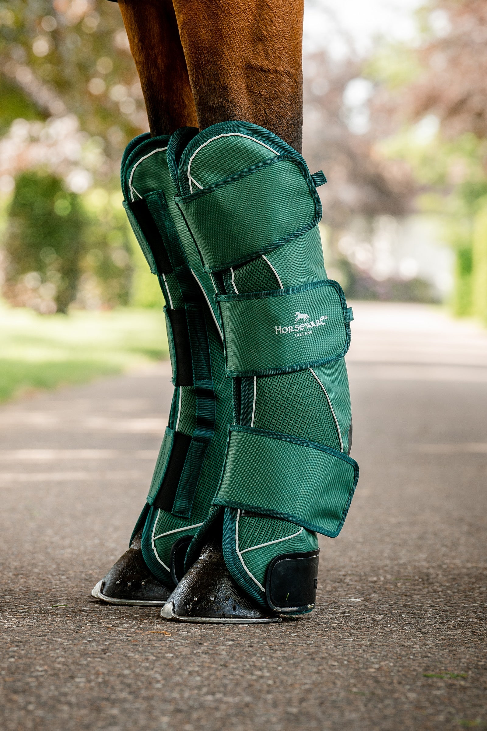 Horseware Signature Transport Beinskyttere Leg Protection & Hoof Protection for Horses