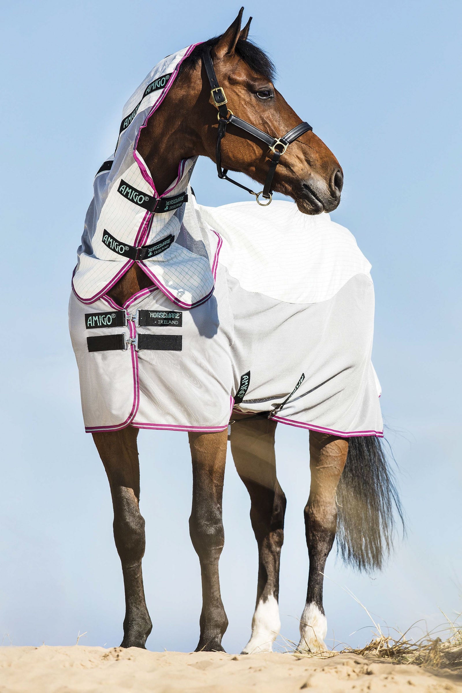 Horseware Amigo Airflow flueteppe med avtakbar nakkedel Dekken