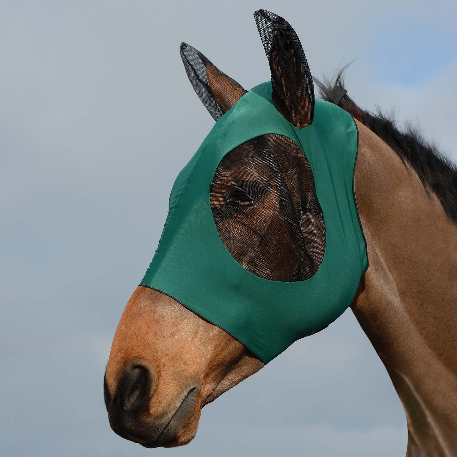 Weatherbeeta Stretch Bug fluemaske med ører Fluebeskyttelse til hest
