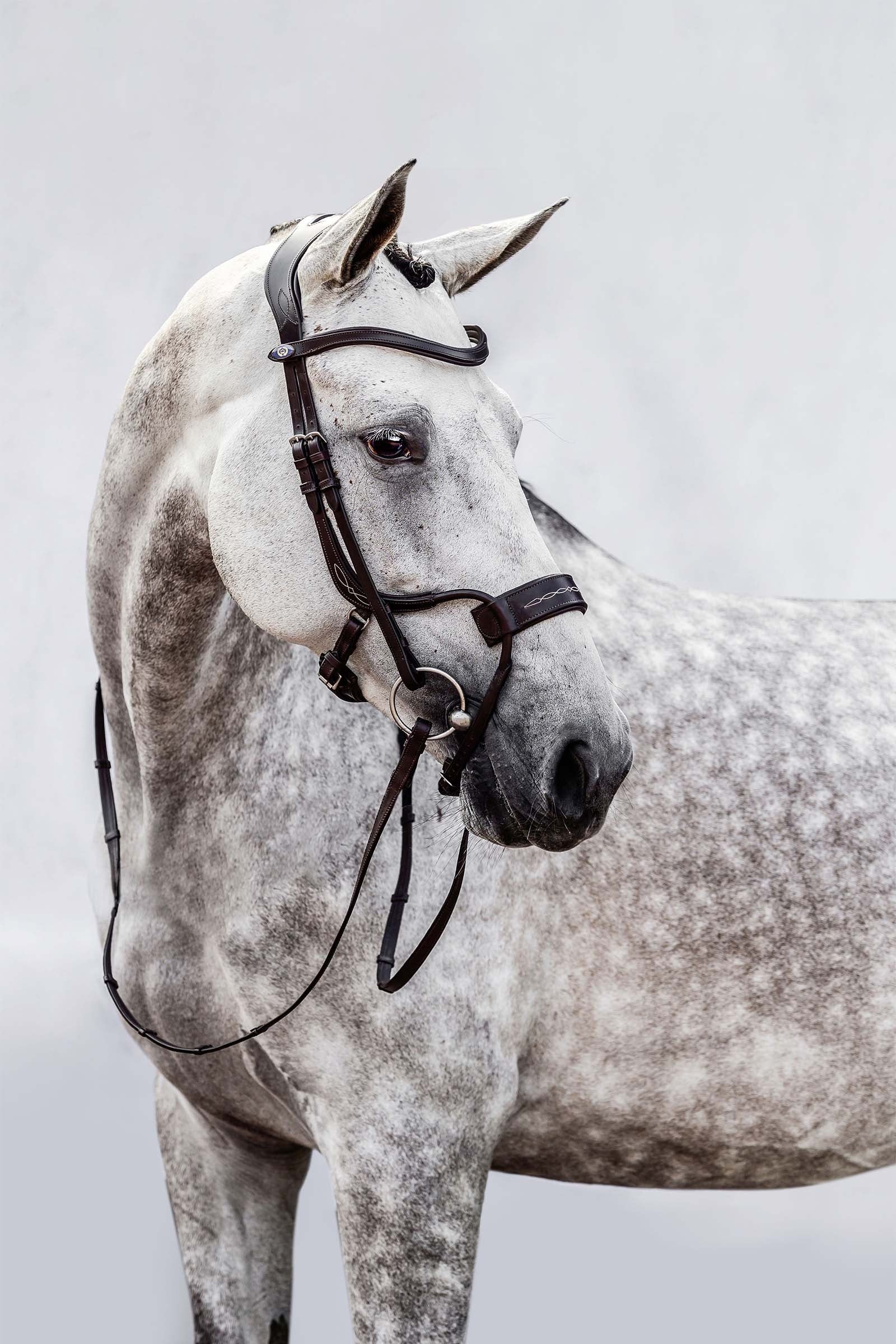 PS of Sweden High Jump Bridle Bridles & Reins