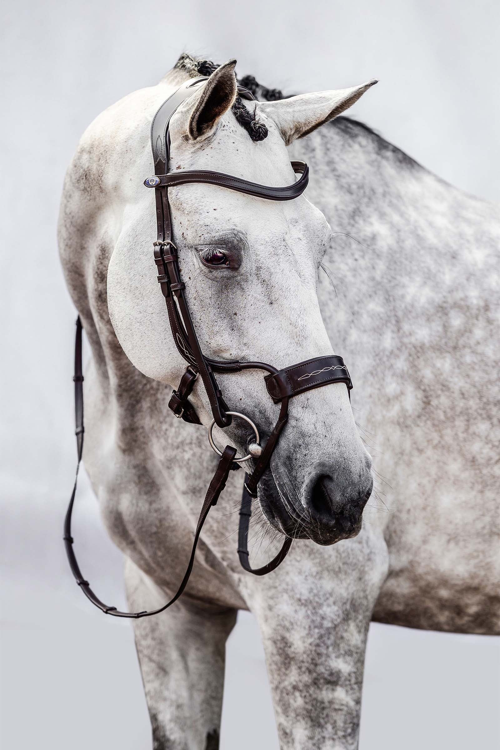 PS of Sweden High Jump Bridle Bridles & Reins