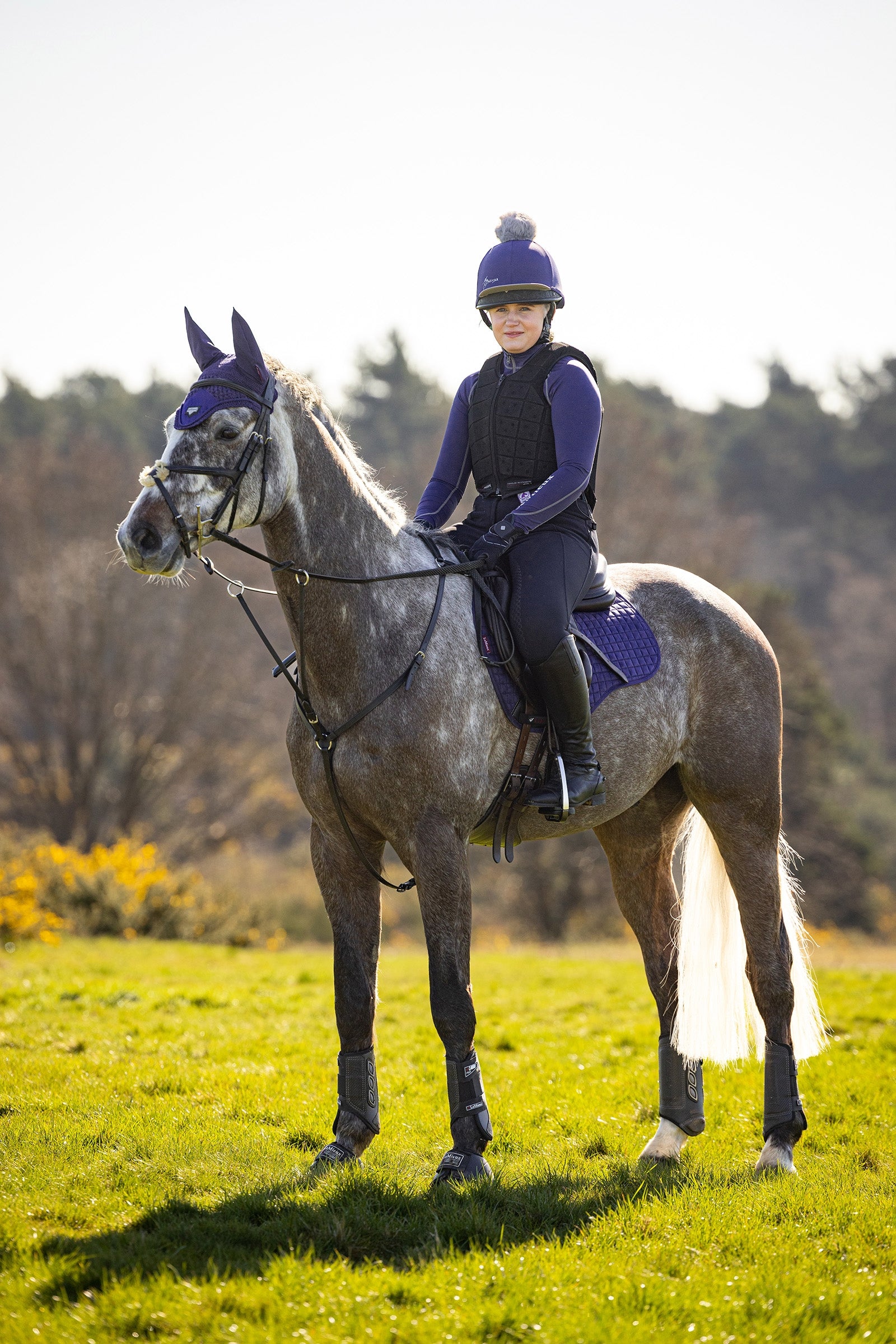 LeMieux Suede allroundsjabrak Sjabraker