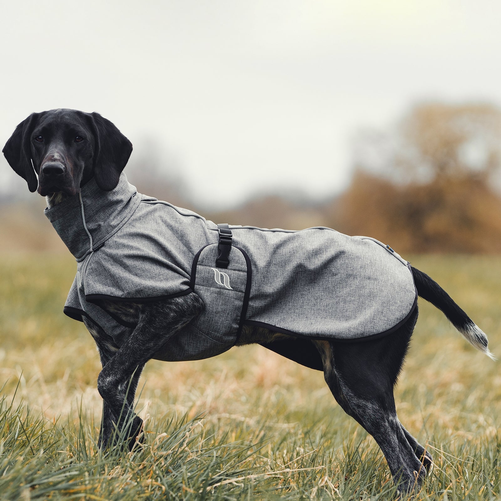 Back on Track Bark All-Round Dog Coat, 40-50cm Dog Accesories
