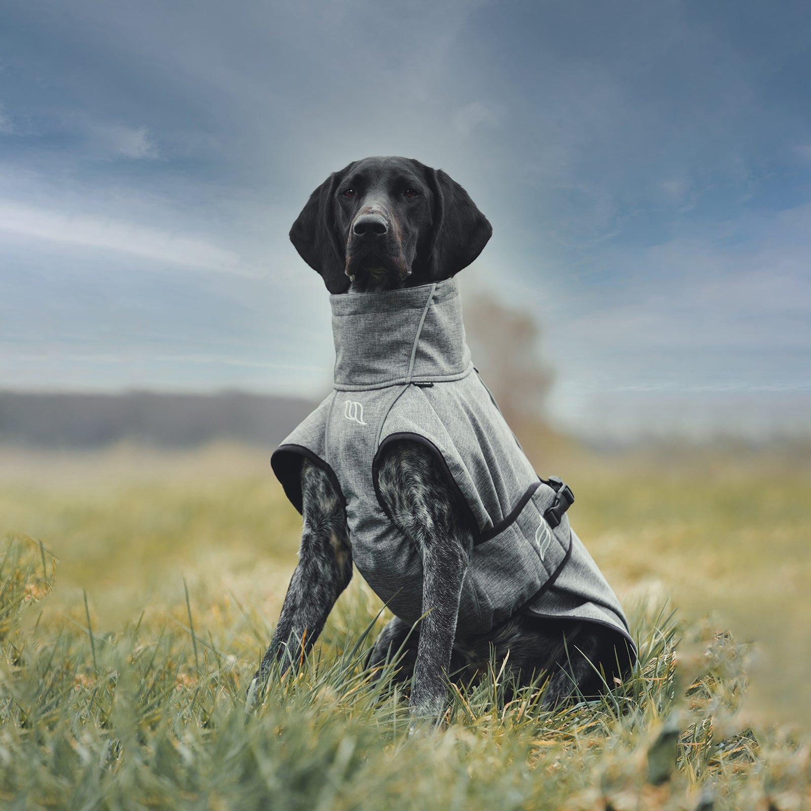 Back on Track Bark All-Round Dog Coat, 40-50cm Dog Accesories