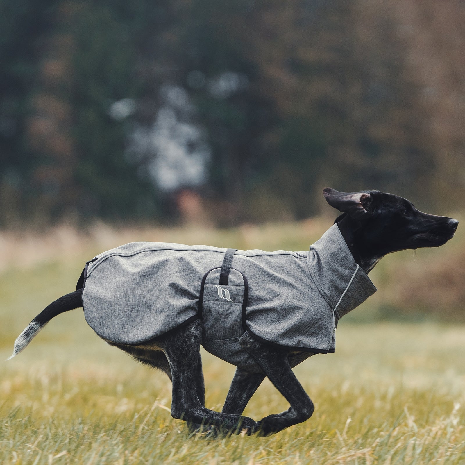 Back on Track Bark All-Round Dog Coat, 40-50cm Dog Accesories