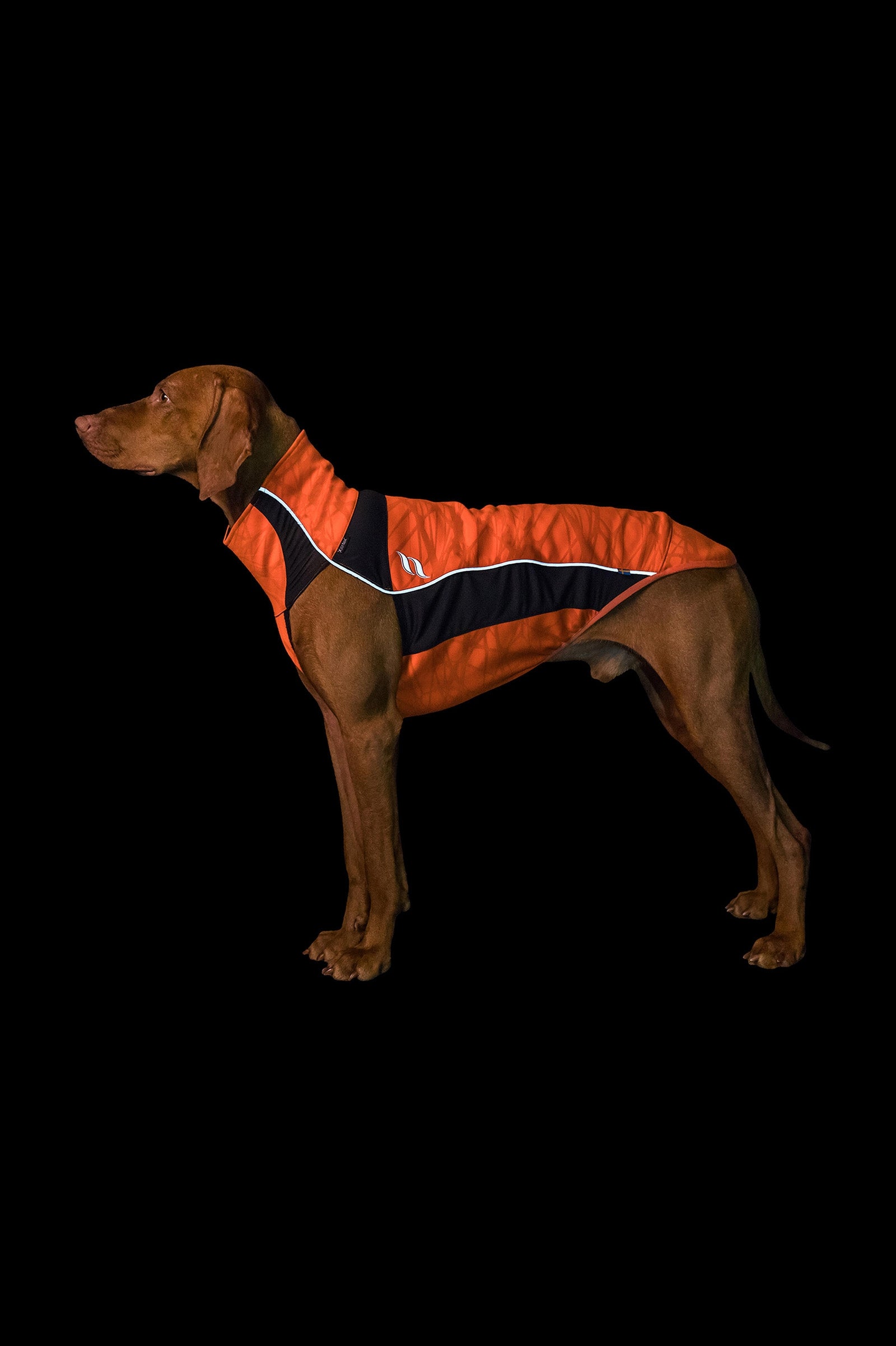 Back on Track Eddie High-Visibility genser, 40-45 cm Hundeutstyr