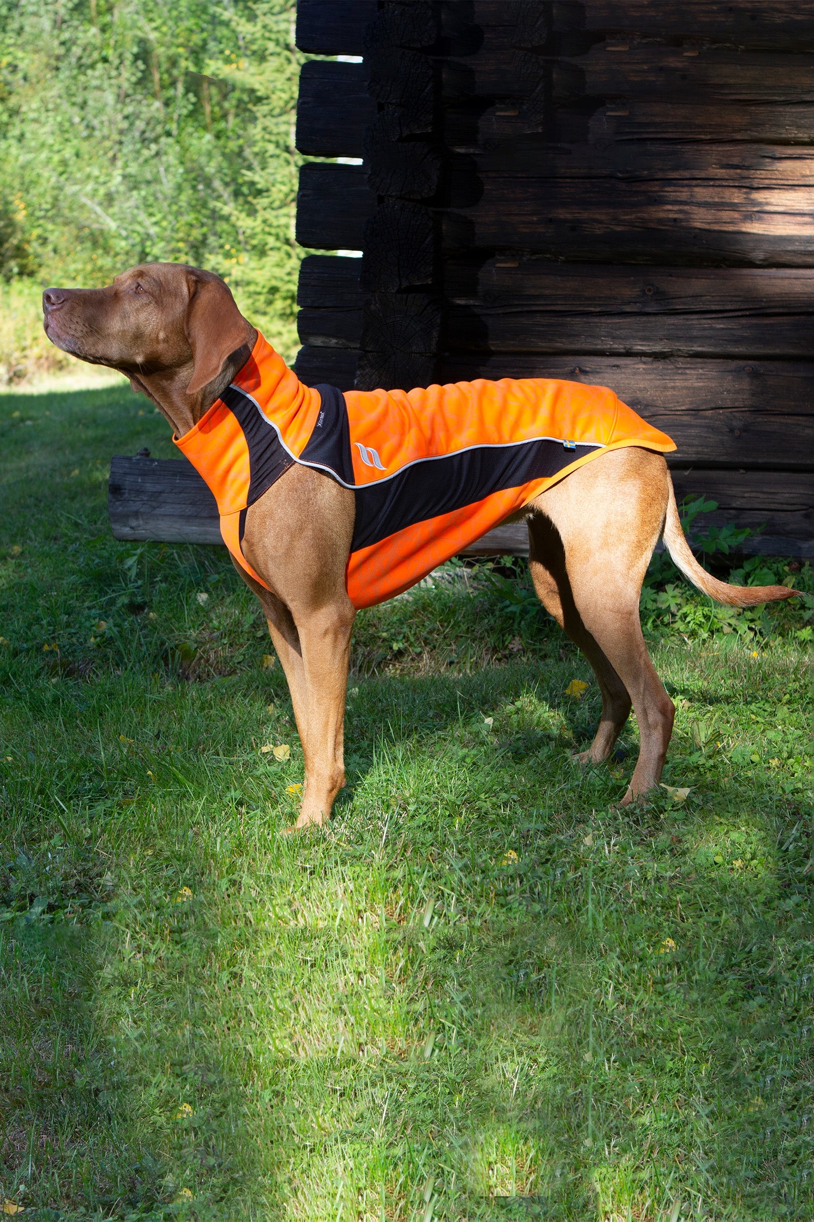 Back on Track Eddie High-Visibility Jumper, 60-70cm Dog Accesories