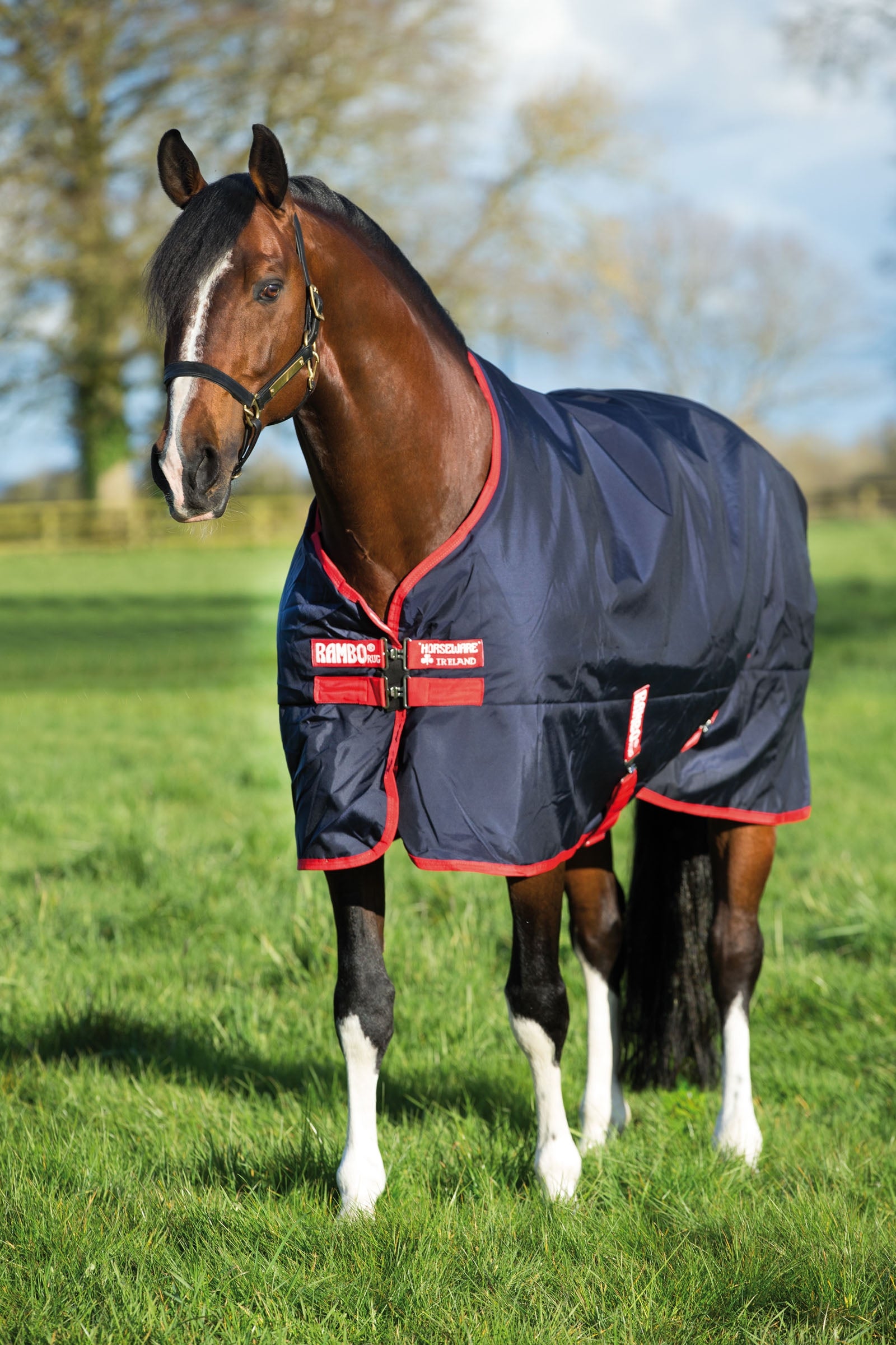 Horseware Rambo Original utedekken, 200 gram Dekken