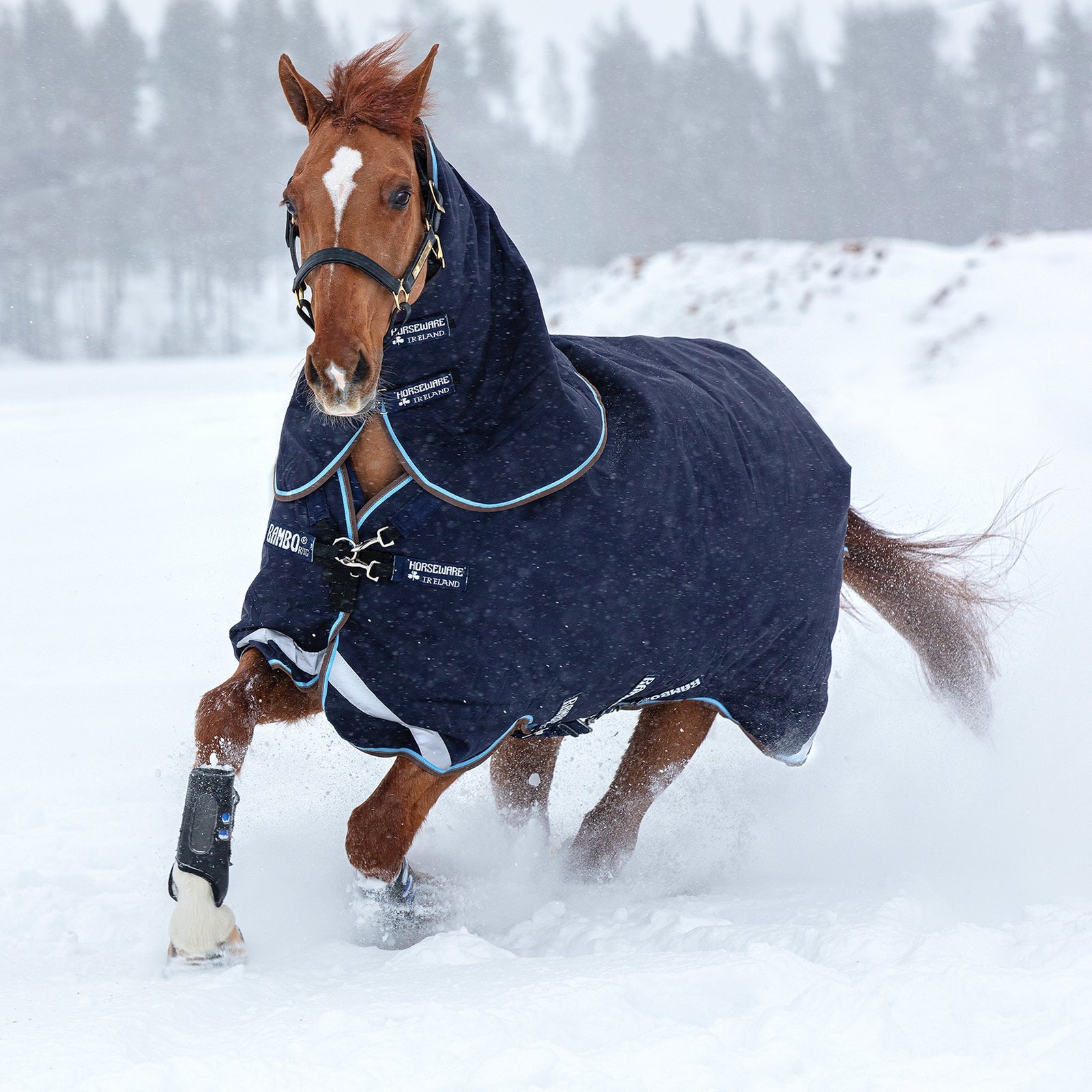 Horseware Rambo Duo utedekken med avtakbar hals, 100 gram Dekken