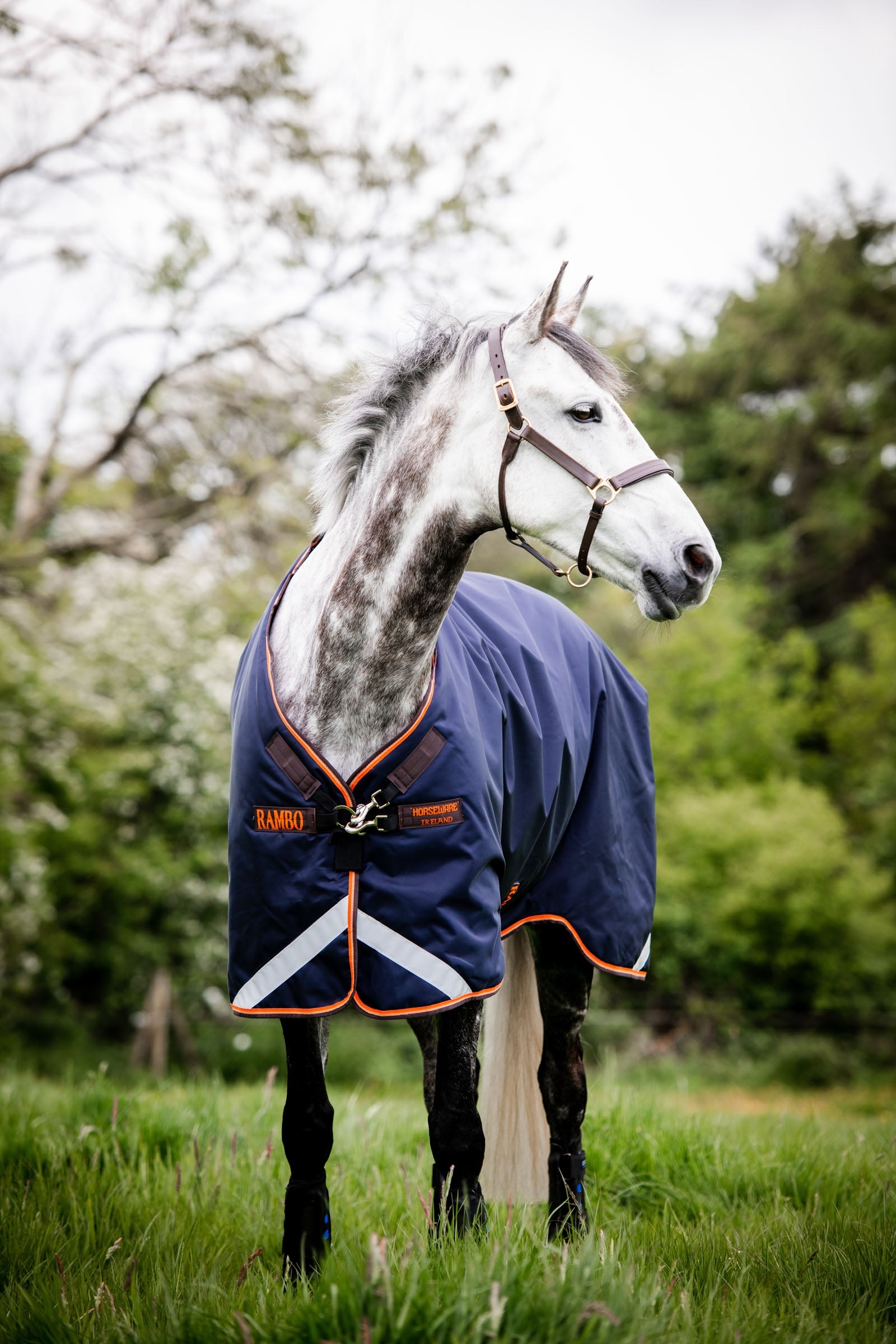 Horseware Rambo Original utedekken med beinbuer, 100 gram Dekken