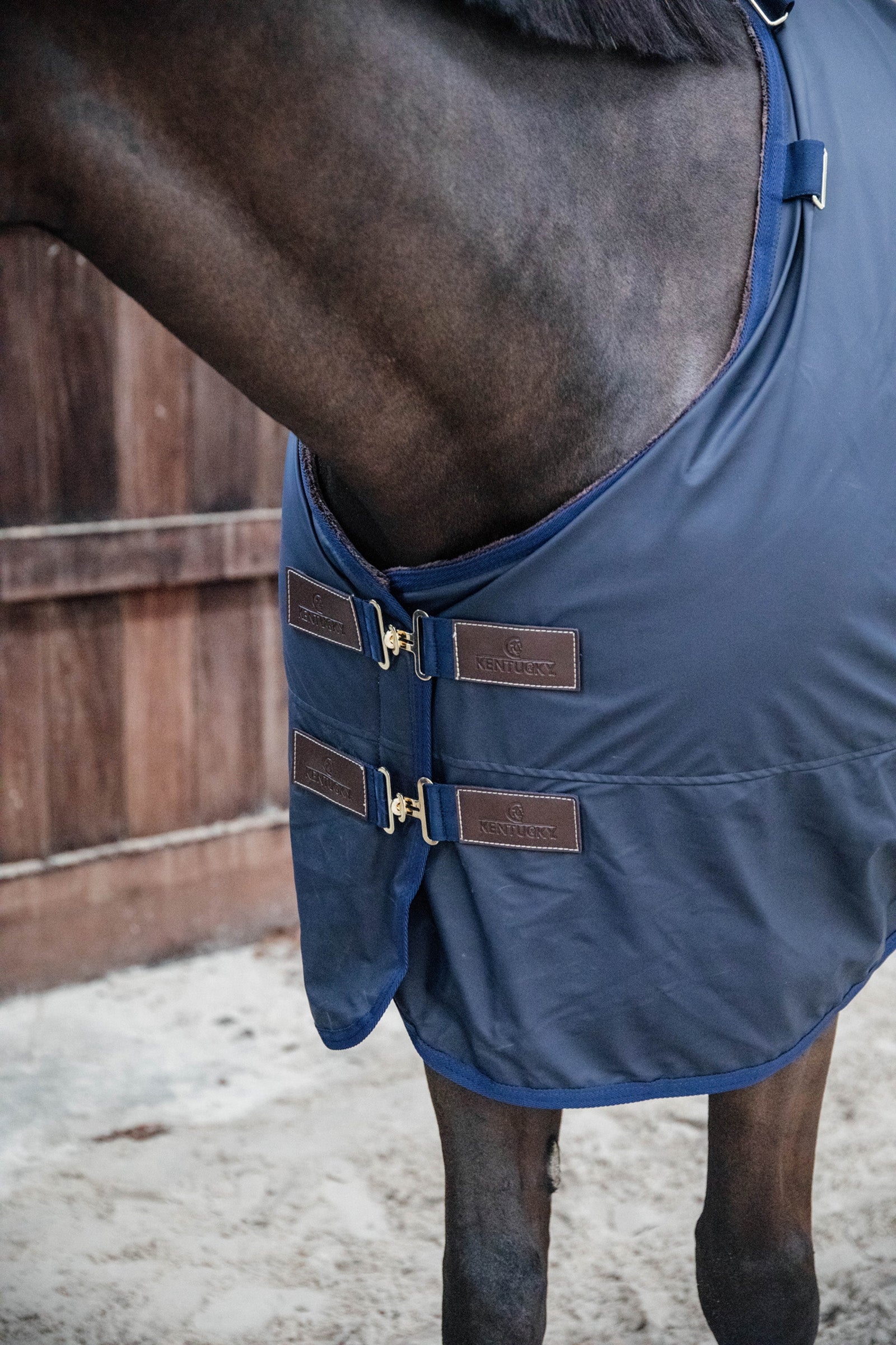 Kentucky Horsewear All Weather Hurricane Turnout, 150g Horse Rugs