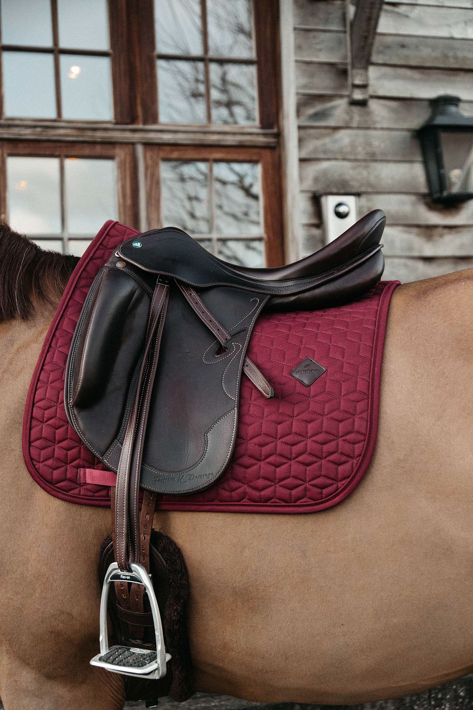 Kentucky Horsewear Basic dressursjabrak Sjabraker