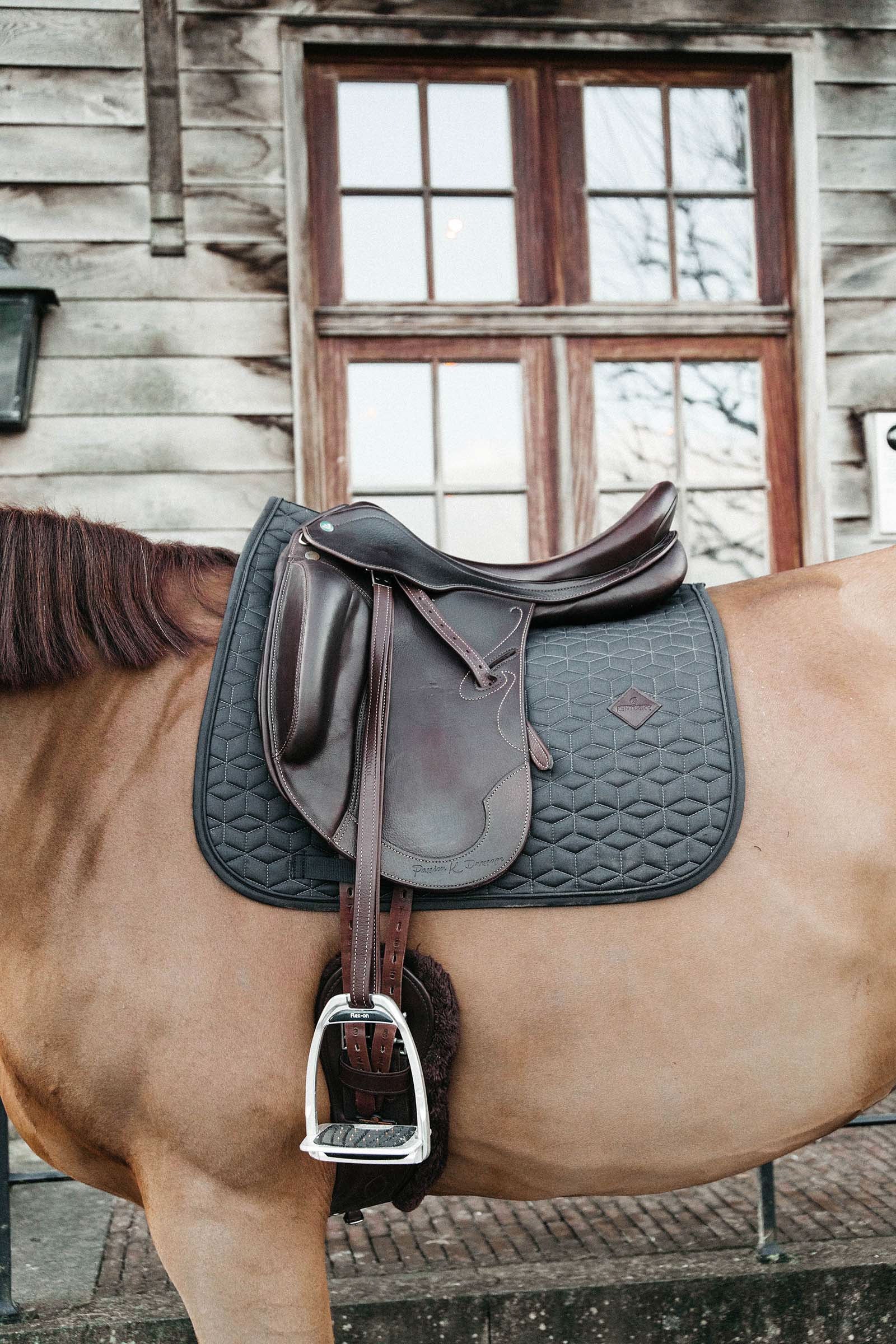 Kentucky Horsewear Basic dressursjabrak Sjabraker