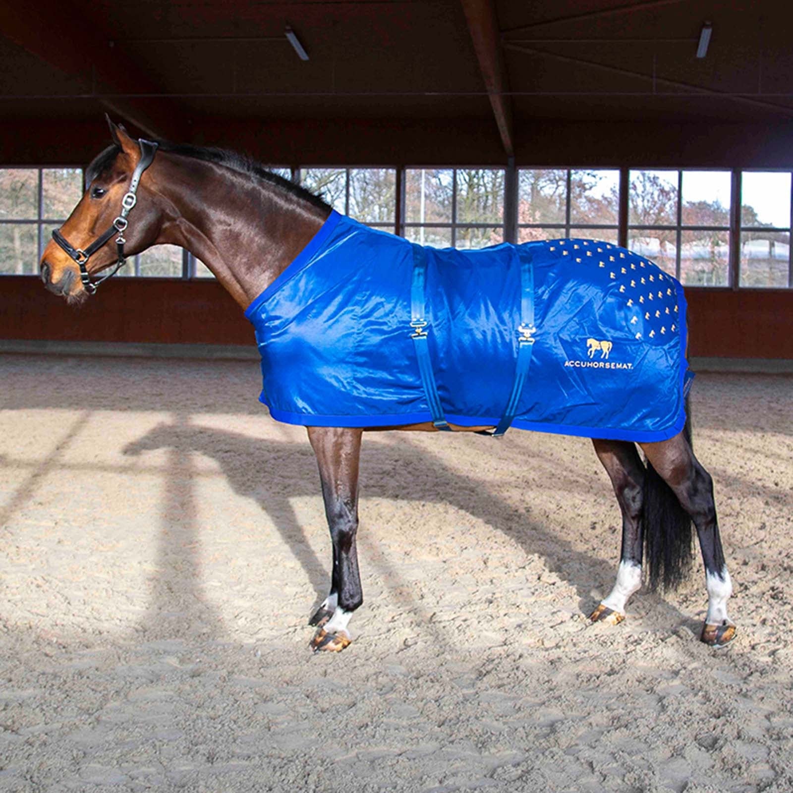 Accuhorsemat Original Dekken