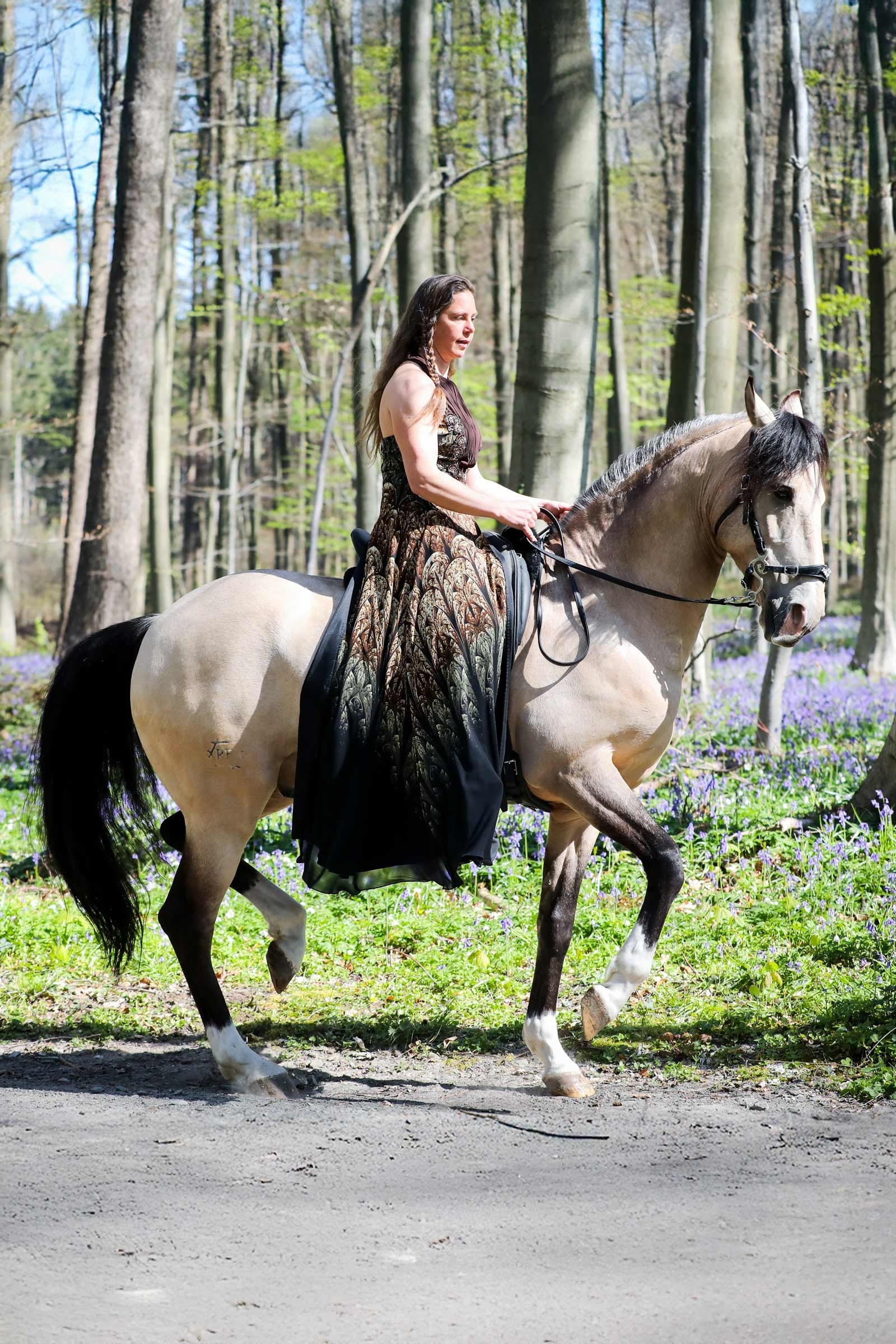 F.R.A. Freedom Riding Articles Imperial Hackamore Bridle With Reins (System 2) Bridles & Reins