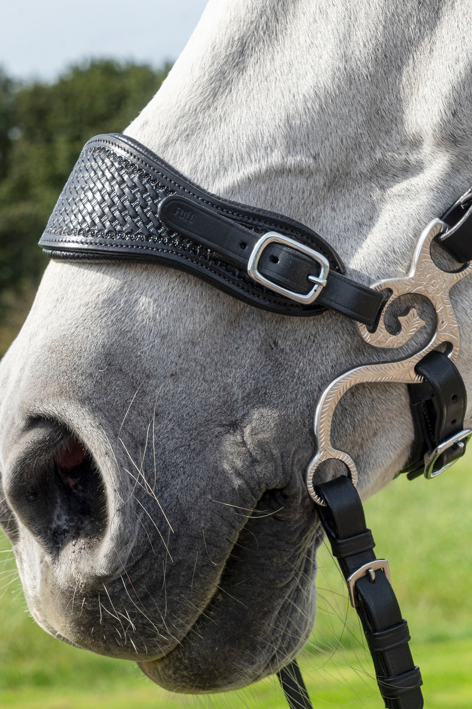 F.R.A. Freedom Riding Articles Barco Set Hackamore Shanks, 150mm Horse Bits