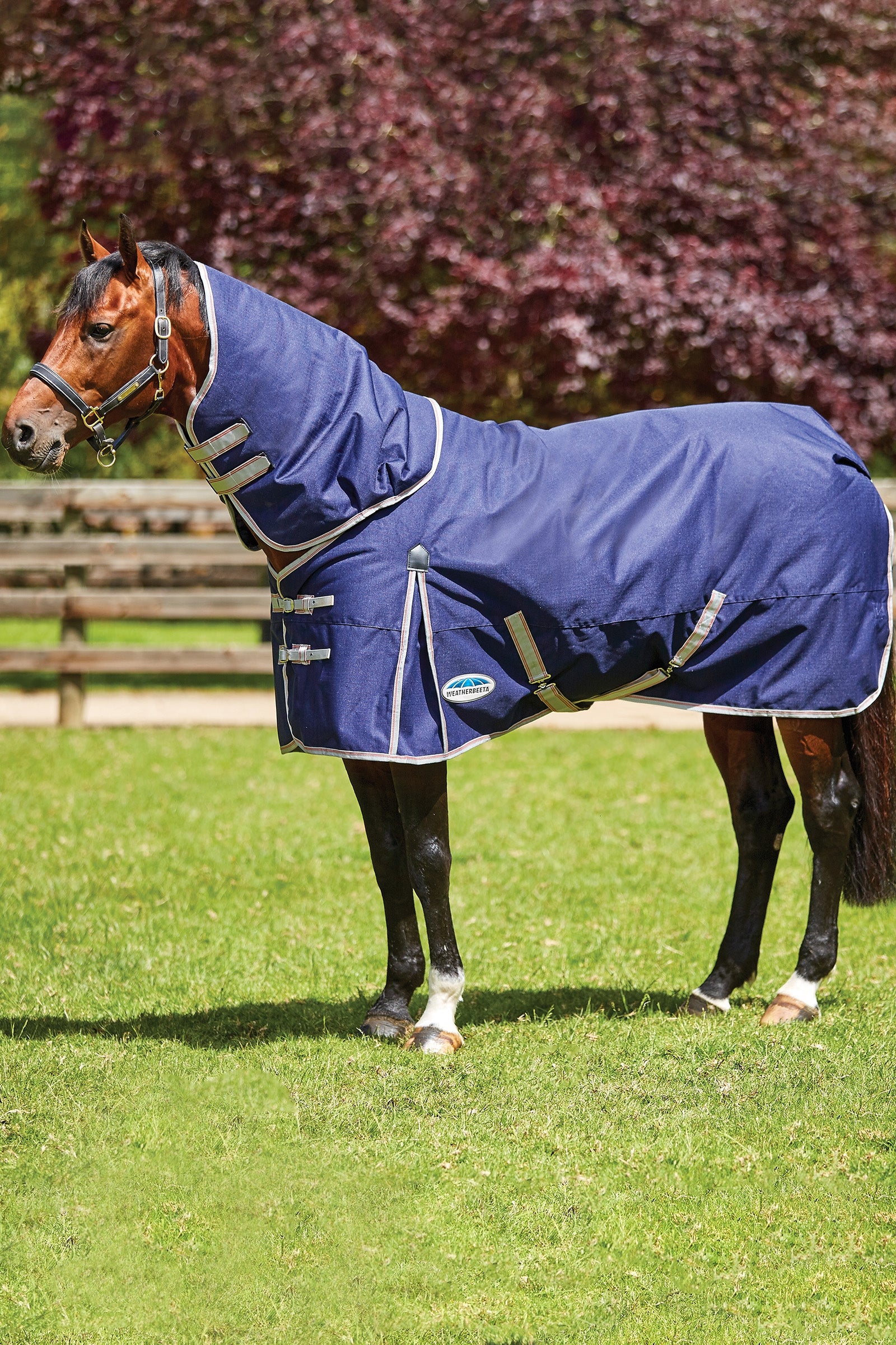 Weatherbeeta Comfitec Essential Detach-a-Neck Medium Turnout Rug, 220g Horse Rugs
