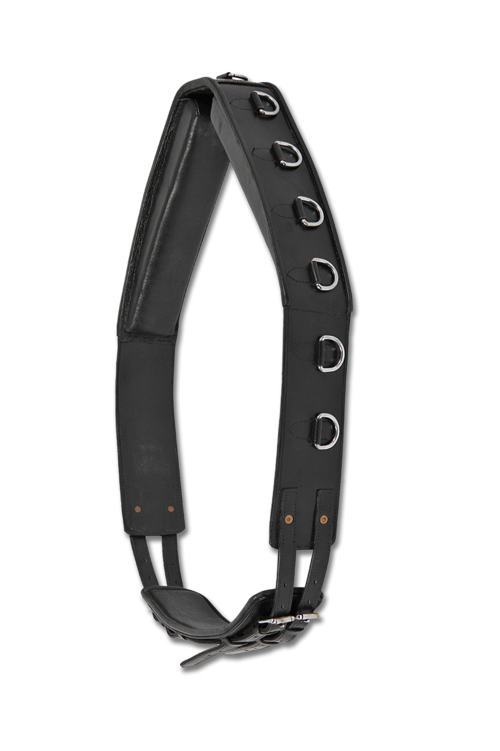 Waldhausen Lunging Surcingle, Leather Longering & Hjelpetøyler