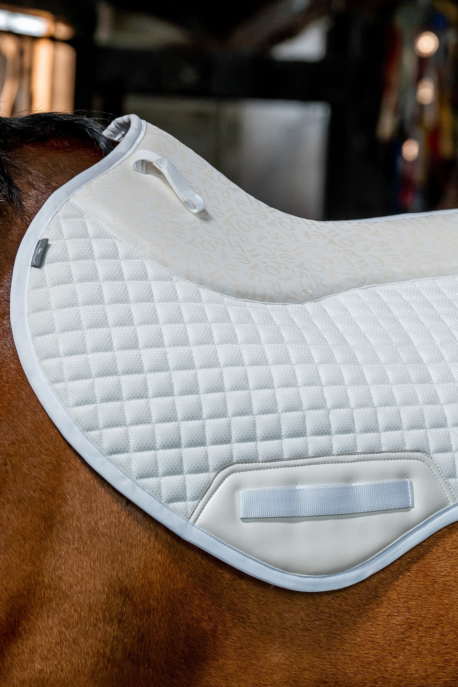 Horseware Tech Comfort sprangsjabrak Sjabraker