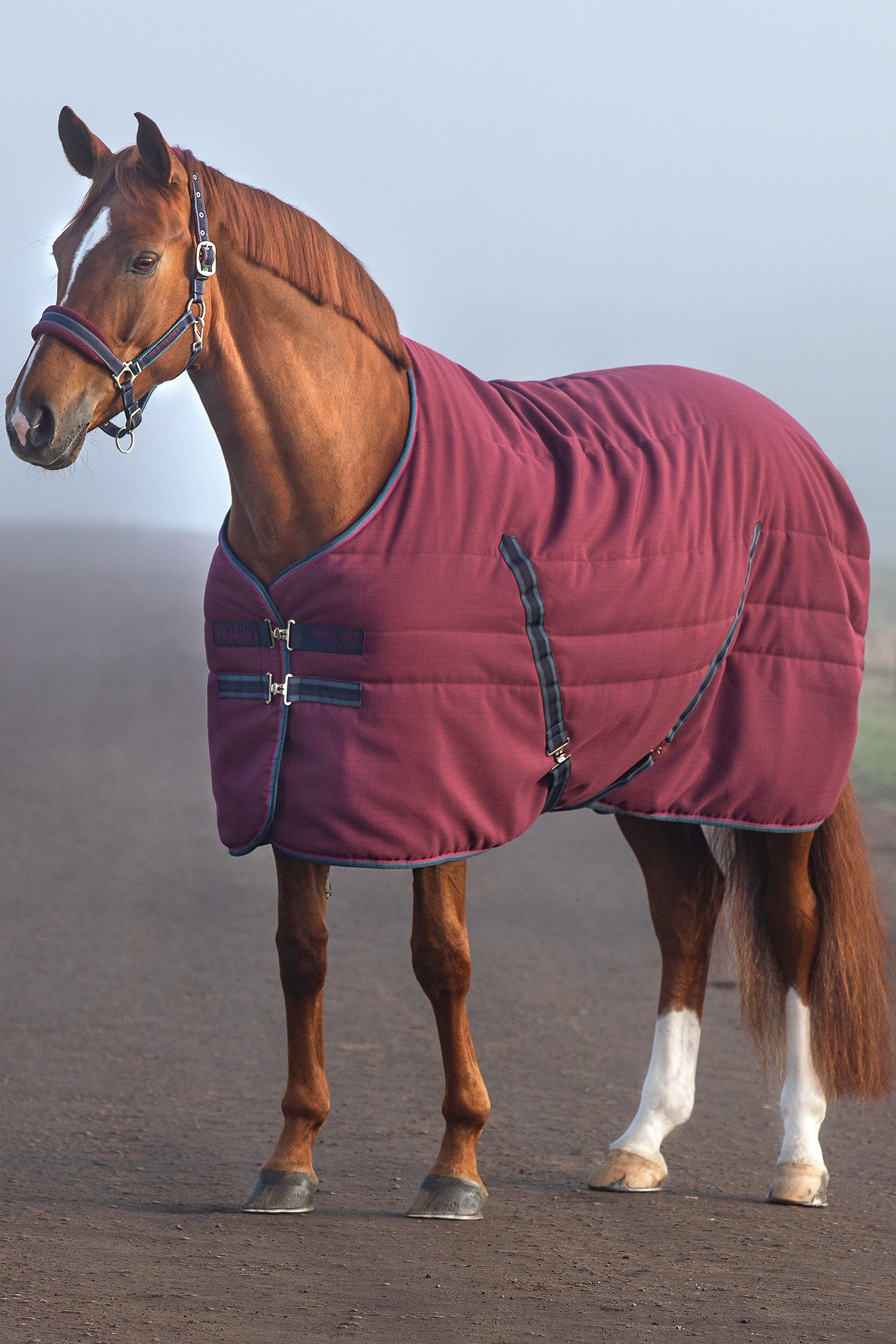 Horseware Rambo Coperta da scuderia con fodera goffrata, 100 gr Dekken