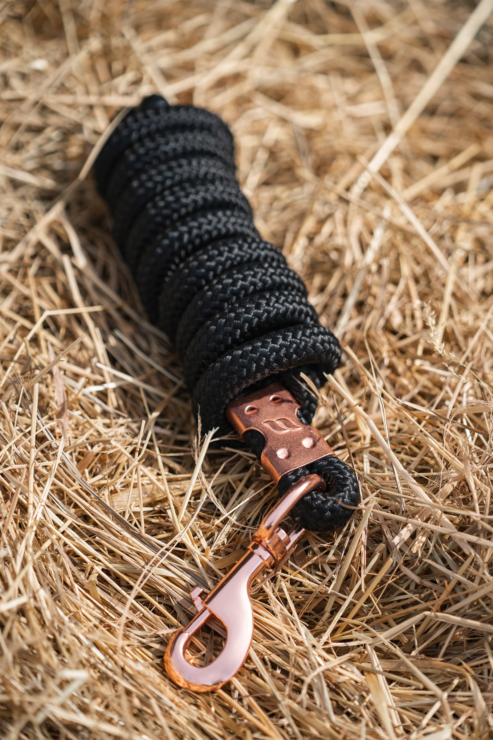 Back on Track Tilbake på sporet Ace Lead Rope Grimer og leietau