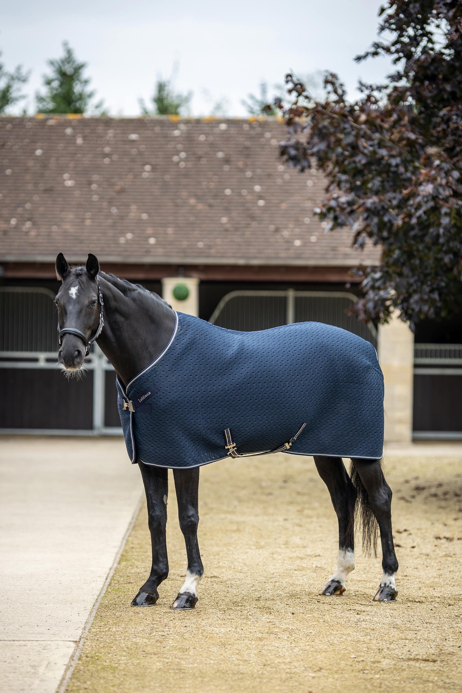 LeMieux Kudos 3D mesh reiseteppe Dekken