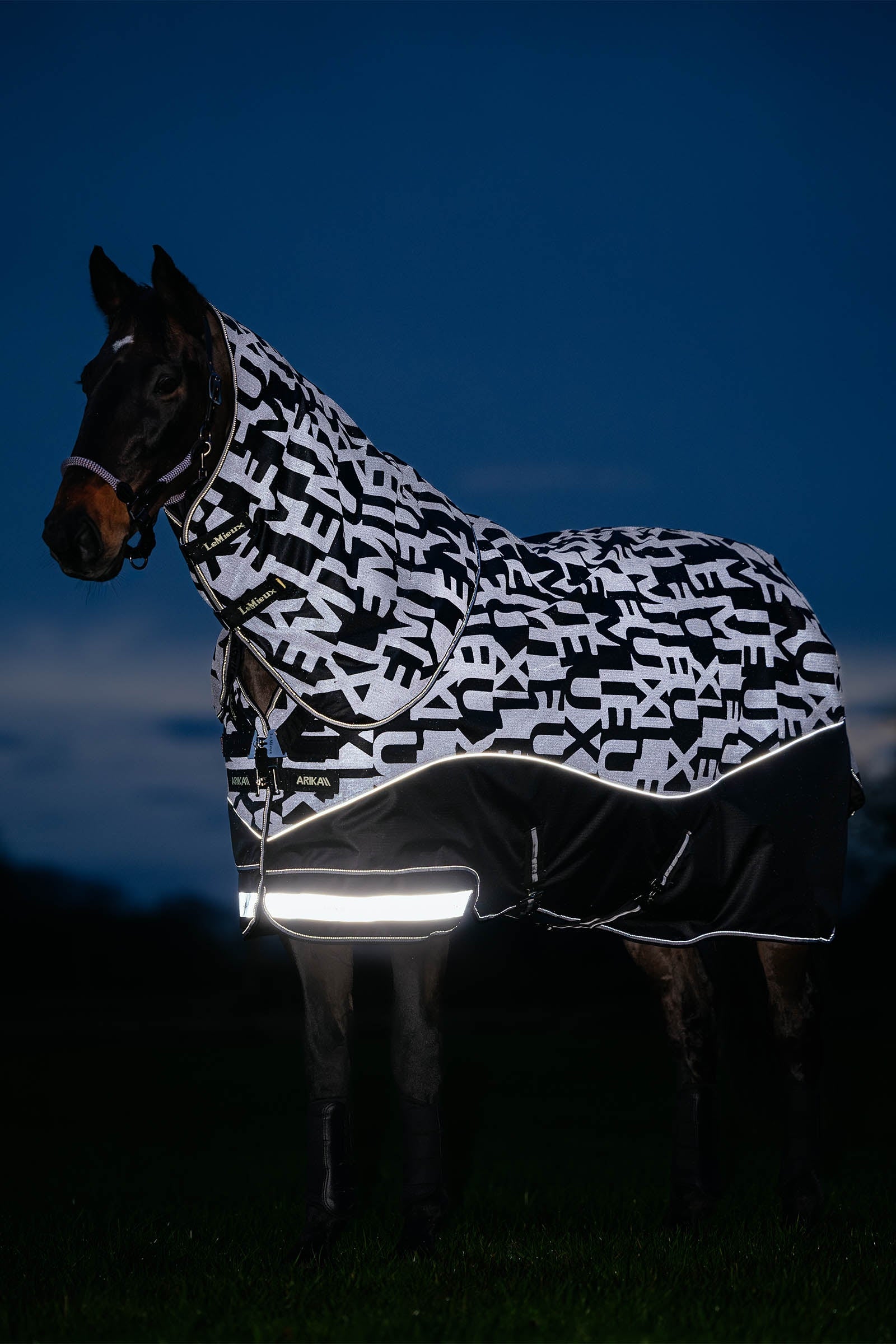LeMieux Arika Reflective Turnout Rug With Detachable Neck, 0 g Dekken