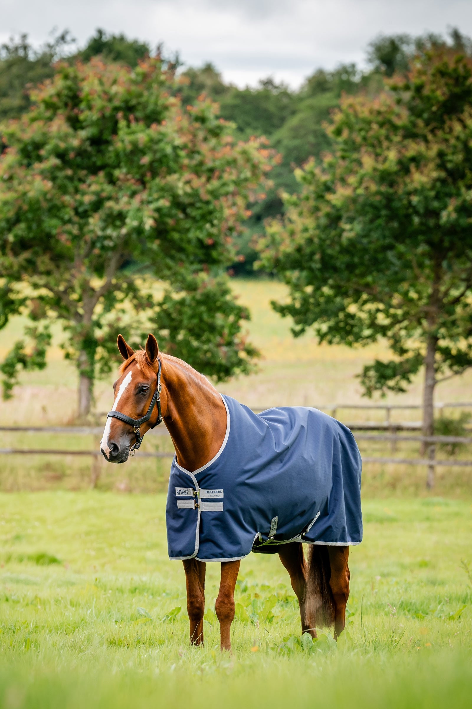 Horseware Amigo 900D Ripstop utedekken, 100 g Dekken