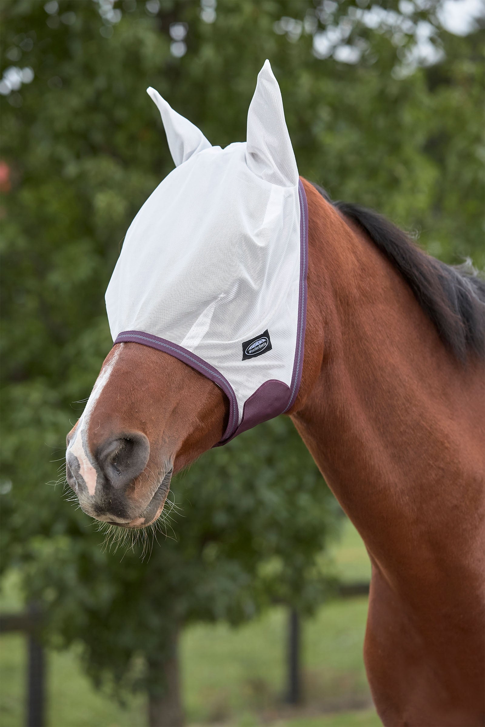 Weatherbeeta Comfitec Essential fluemaske i netting Fluebeskyttelse til hest