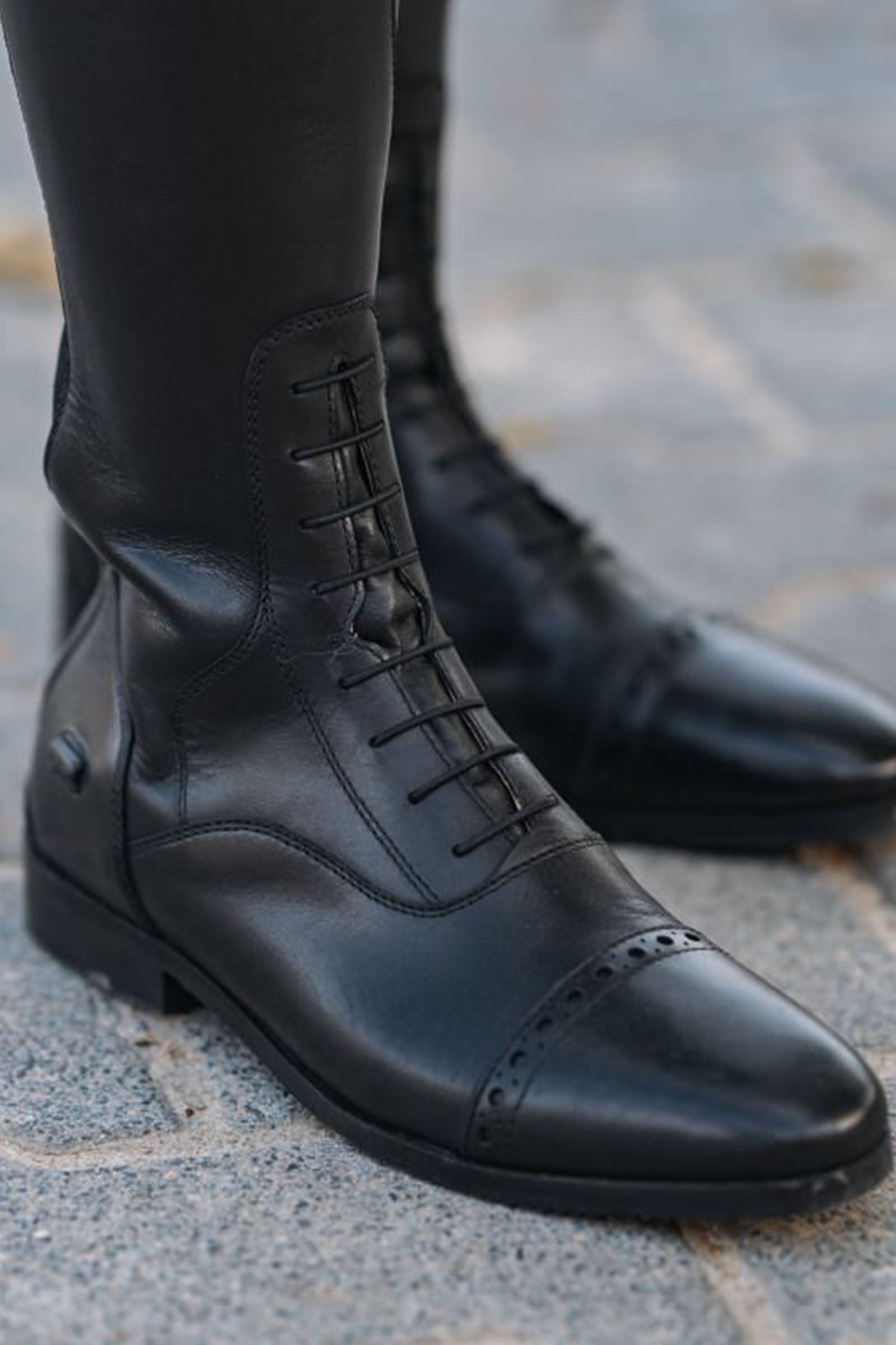 Suedwind Footwear Florentina Tall Riding Boots Riding Boots & Riding Shoes