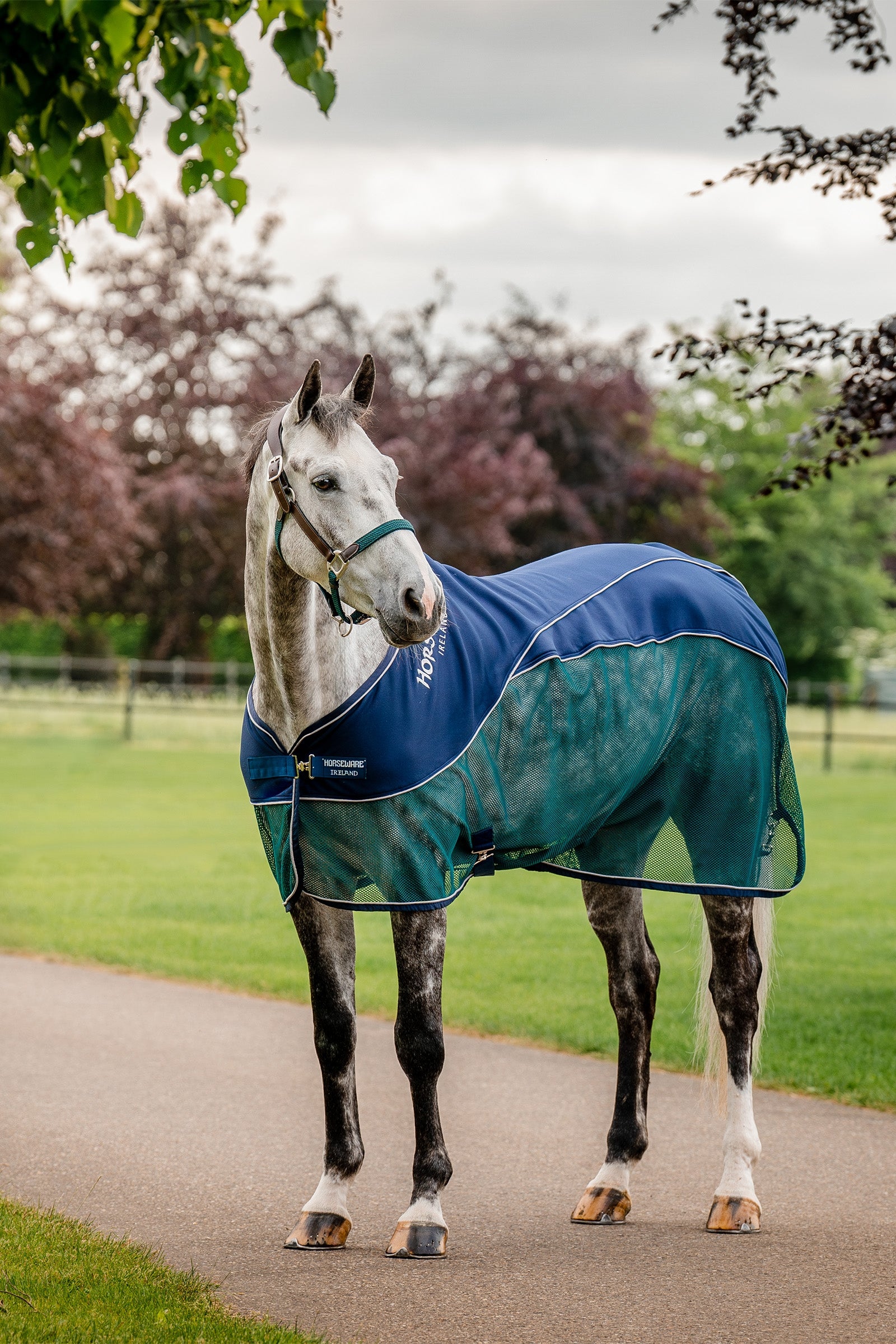 Horseware Signature Sport Svetteteppe Dekken
