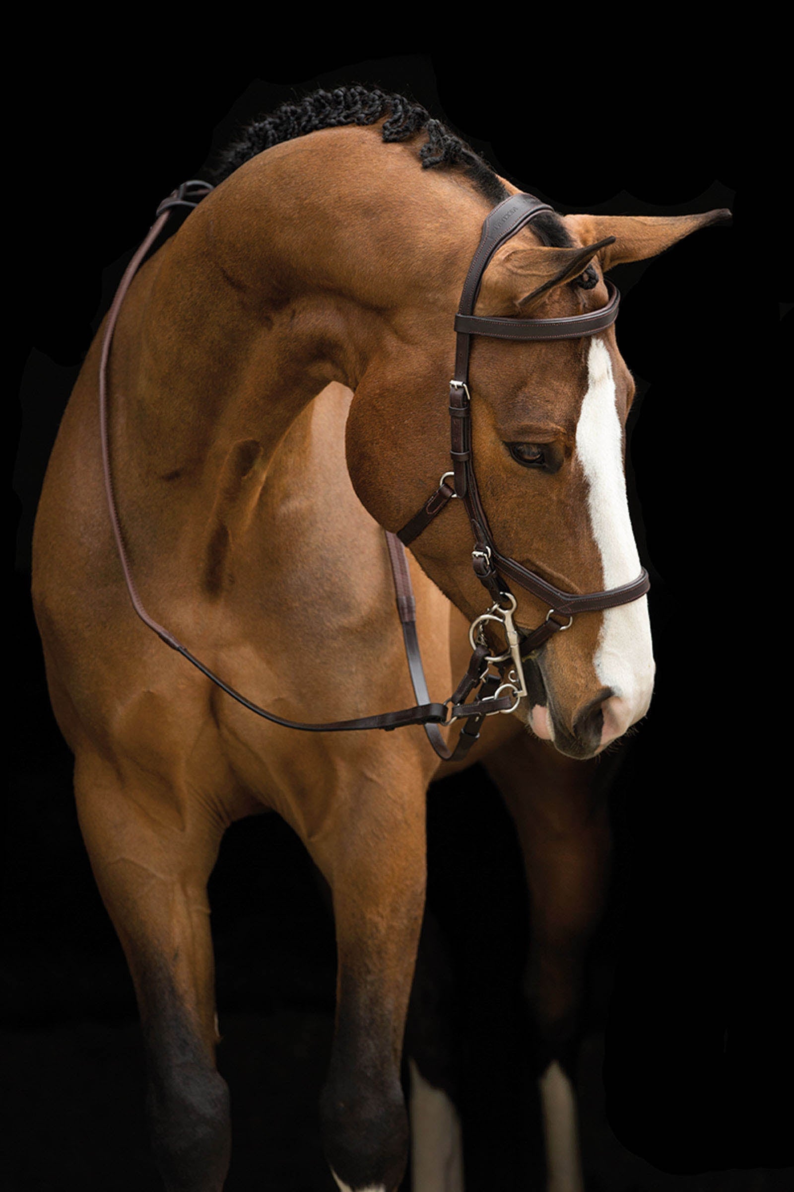 Horseware Rambo Micklem stevnehodelag Hodelag & Tøyler