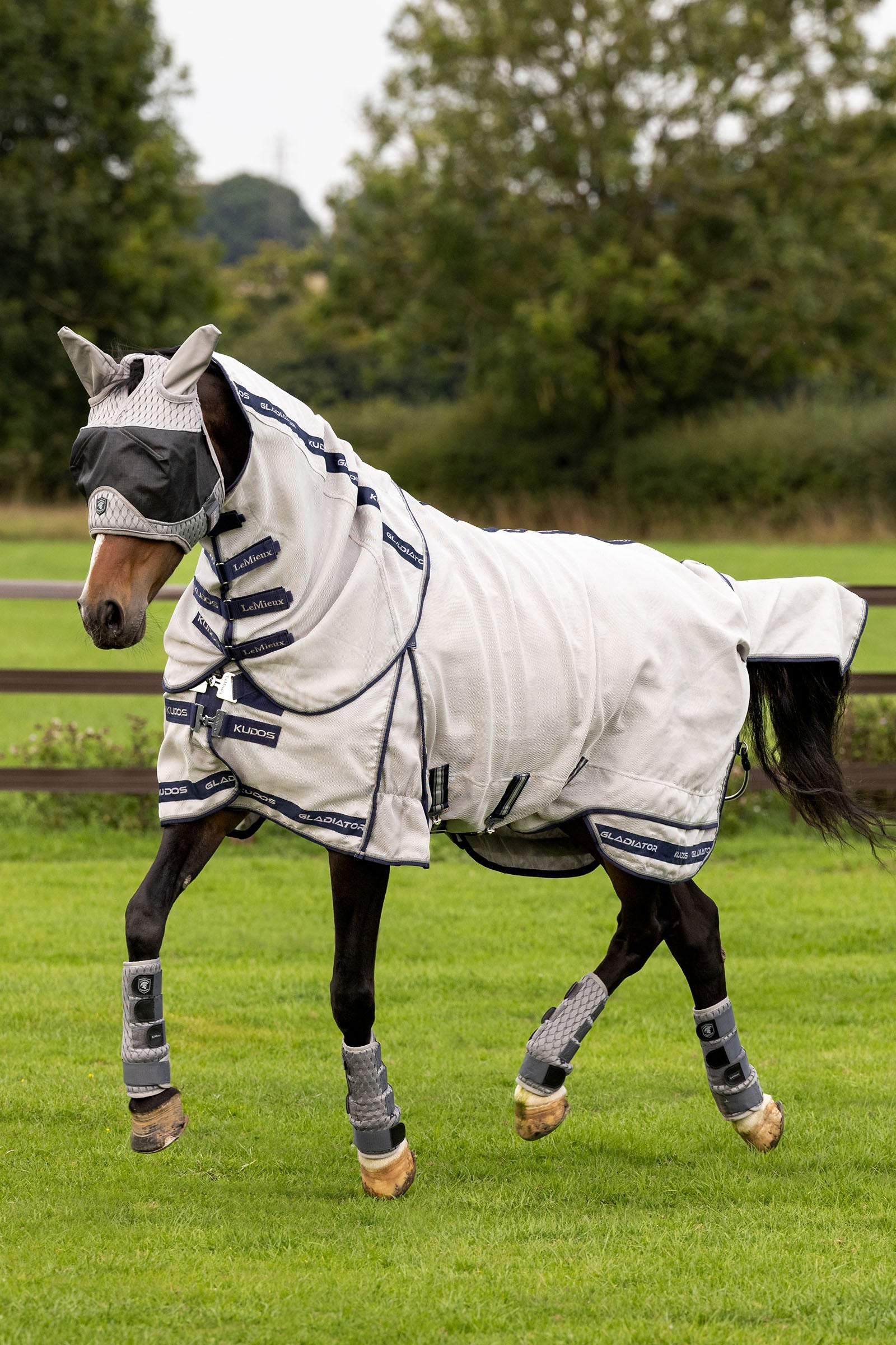 LeMieux Kudos Gladiator Fly Rug Horse Rugs