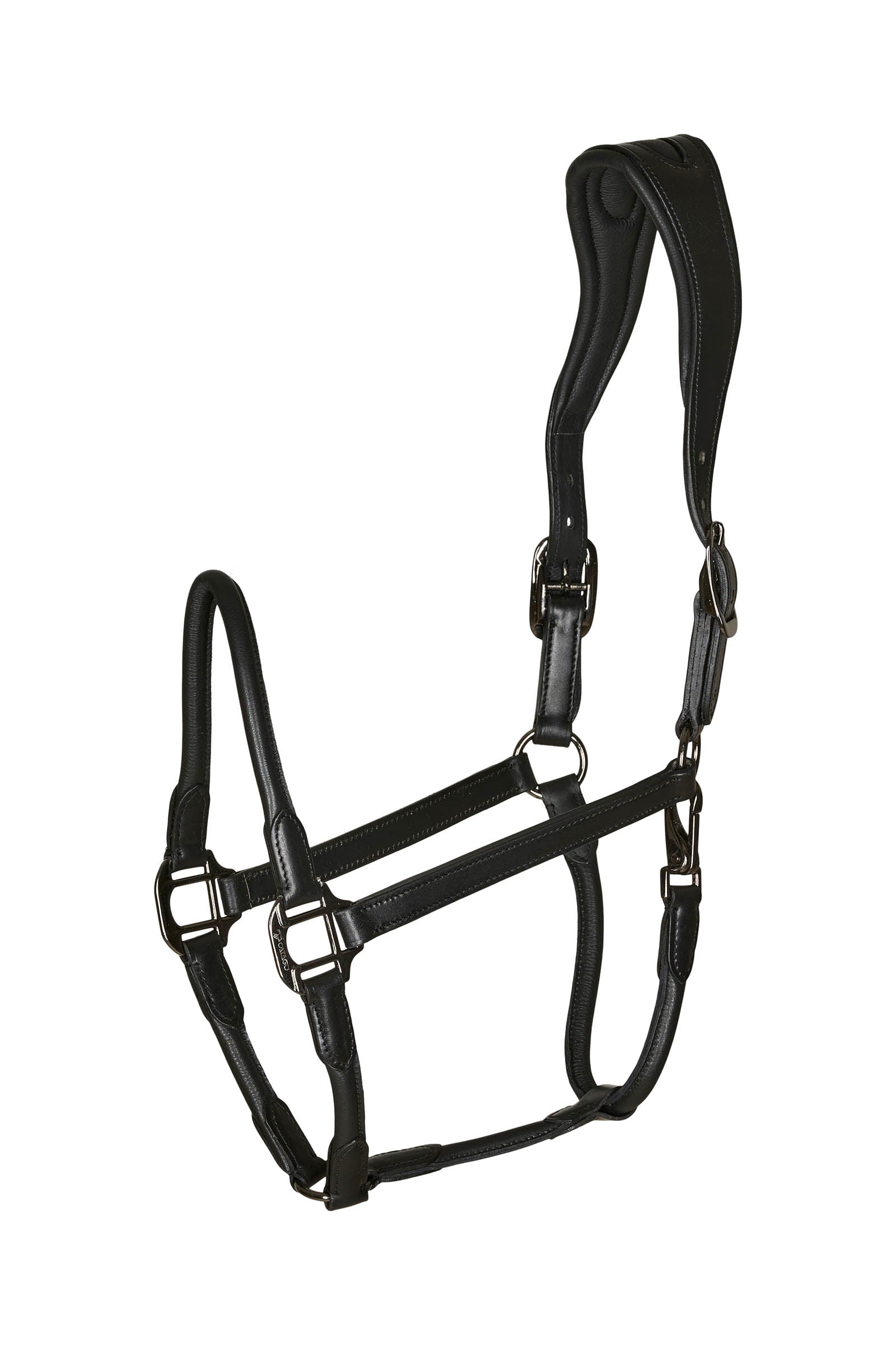 Catago leather halter with round-stitched noseband Grimer og leietau