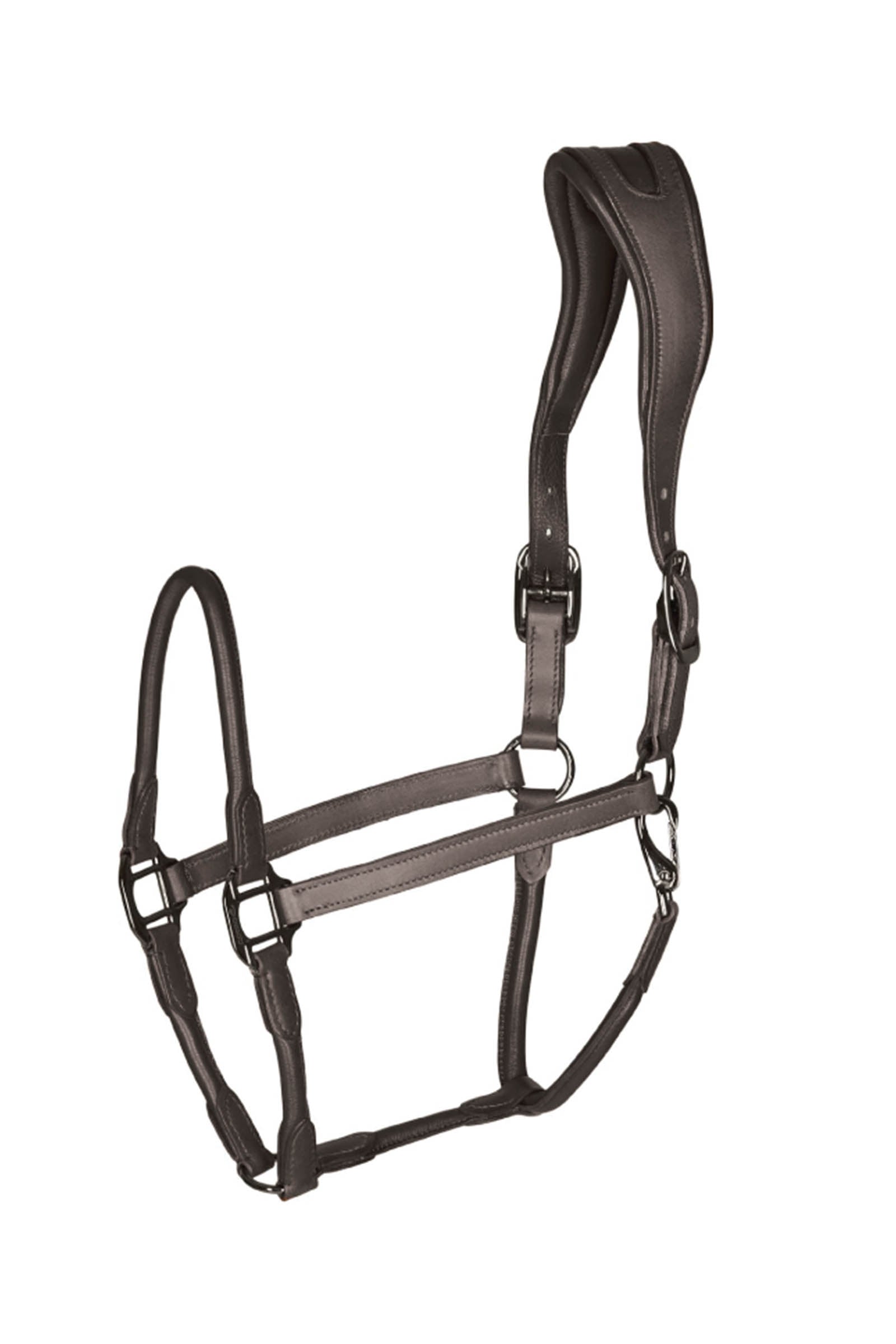 Catago leather halter with round-stitched noseband Grimer og leietau