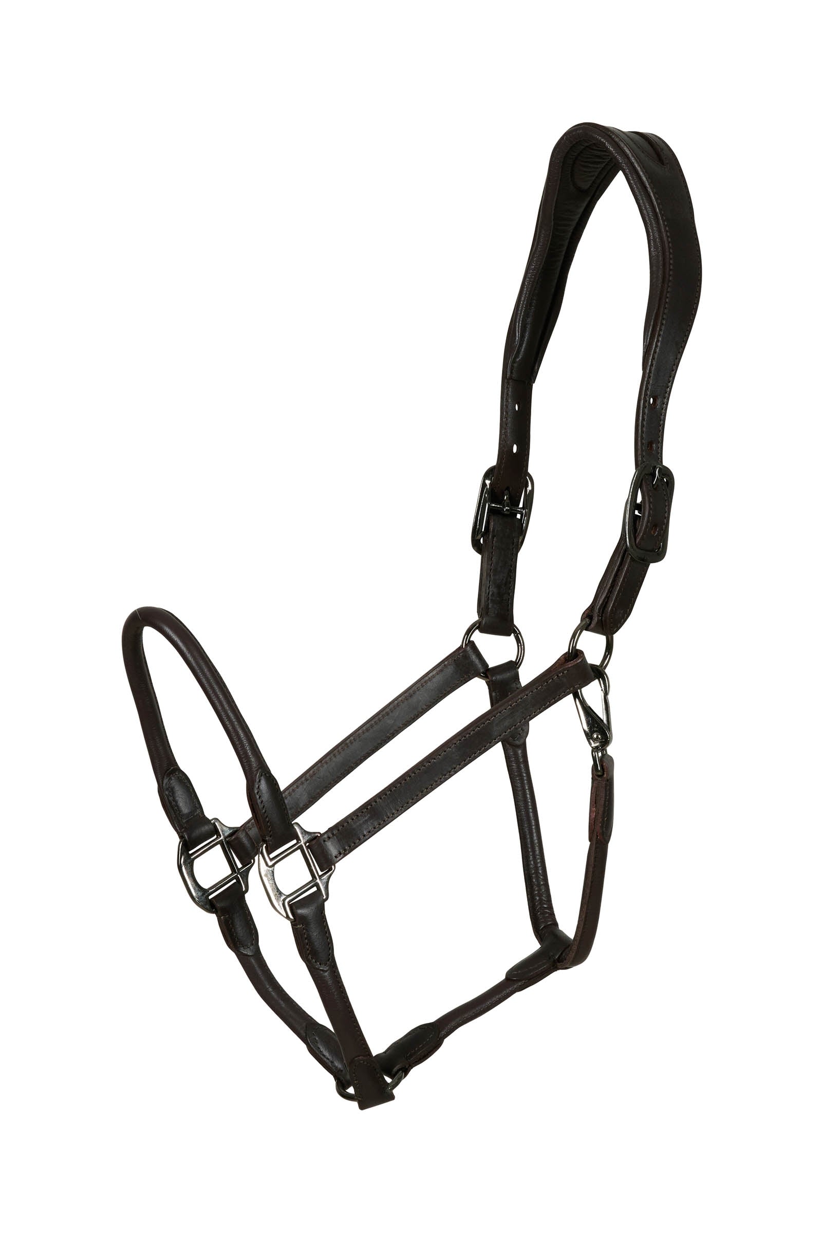 Catago leather halter with round-stitched noseband Halters & Leads