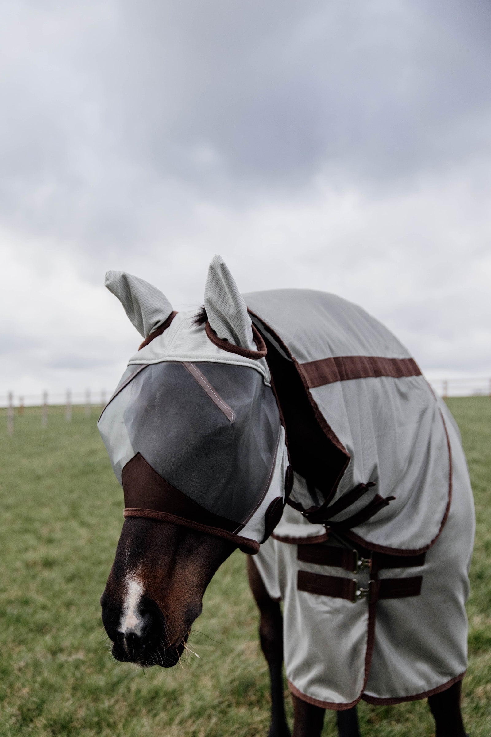 Kentucky Horsewear Classic  Fly Mask with Ears Antifly Protection for Horses