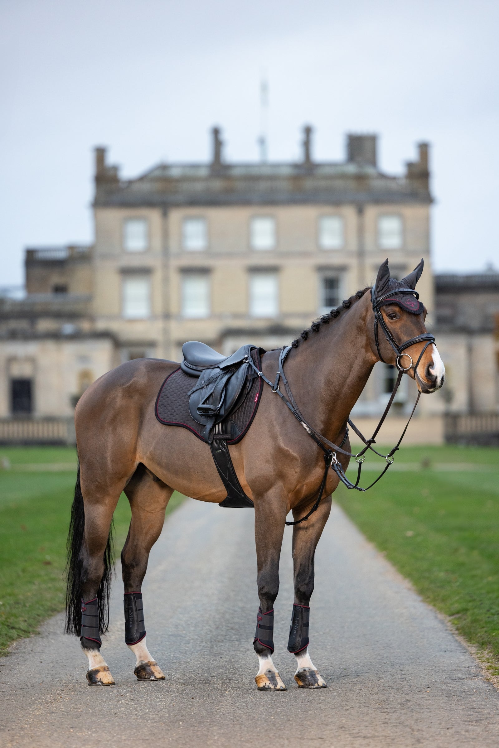 LeMieux Suede GP Square Saddle Pads