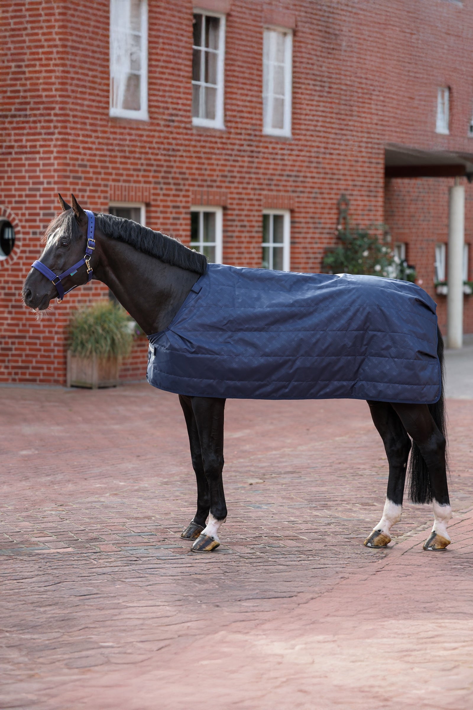 Bucas Liner, 100 g Horse Rugs