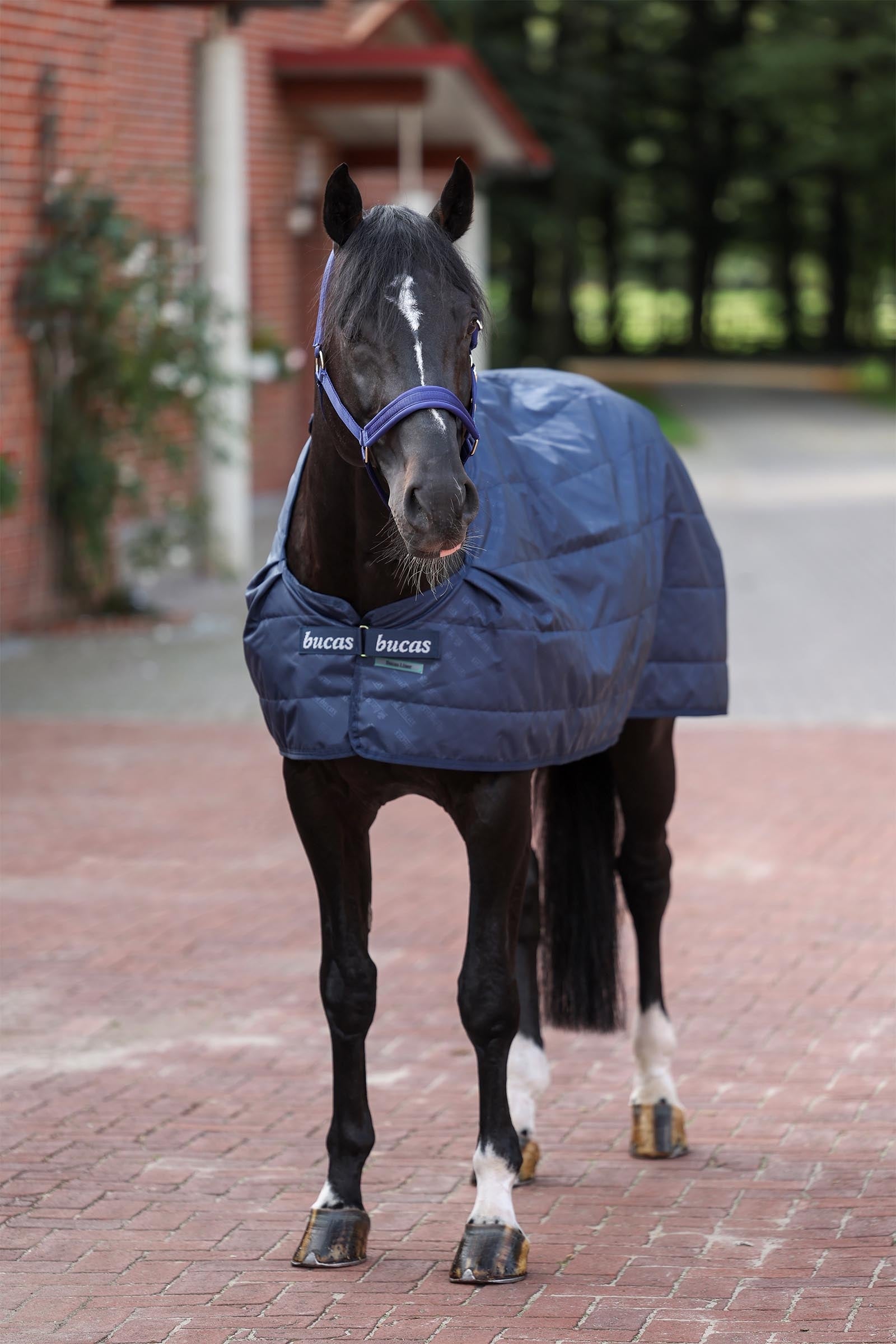 Bucas Liner, 100 g Horse Rugs