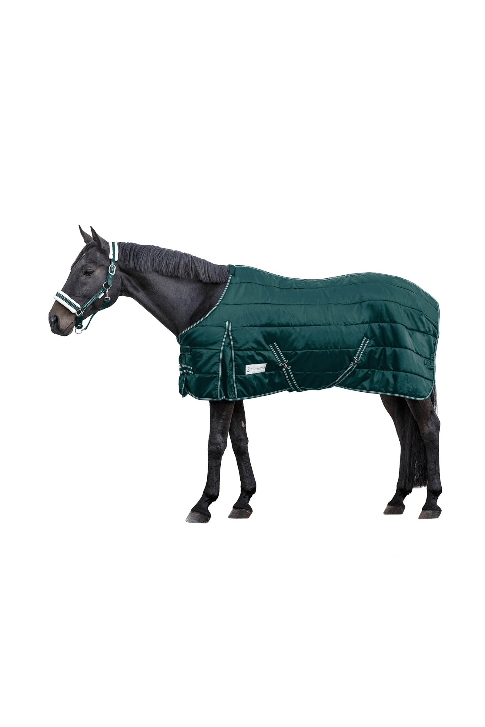Waldhausen Stable rug Economic 200 g Dekken